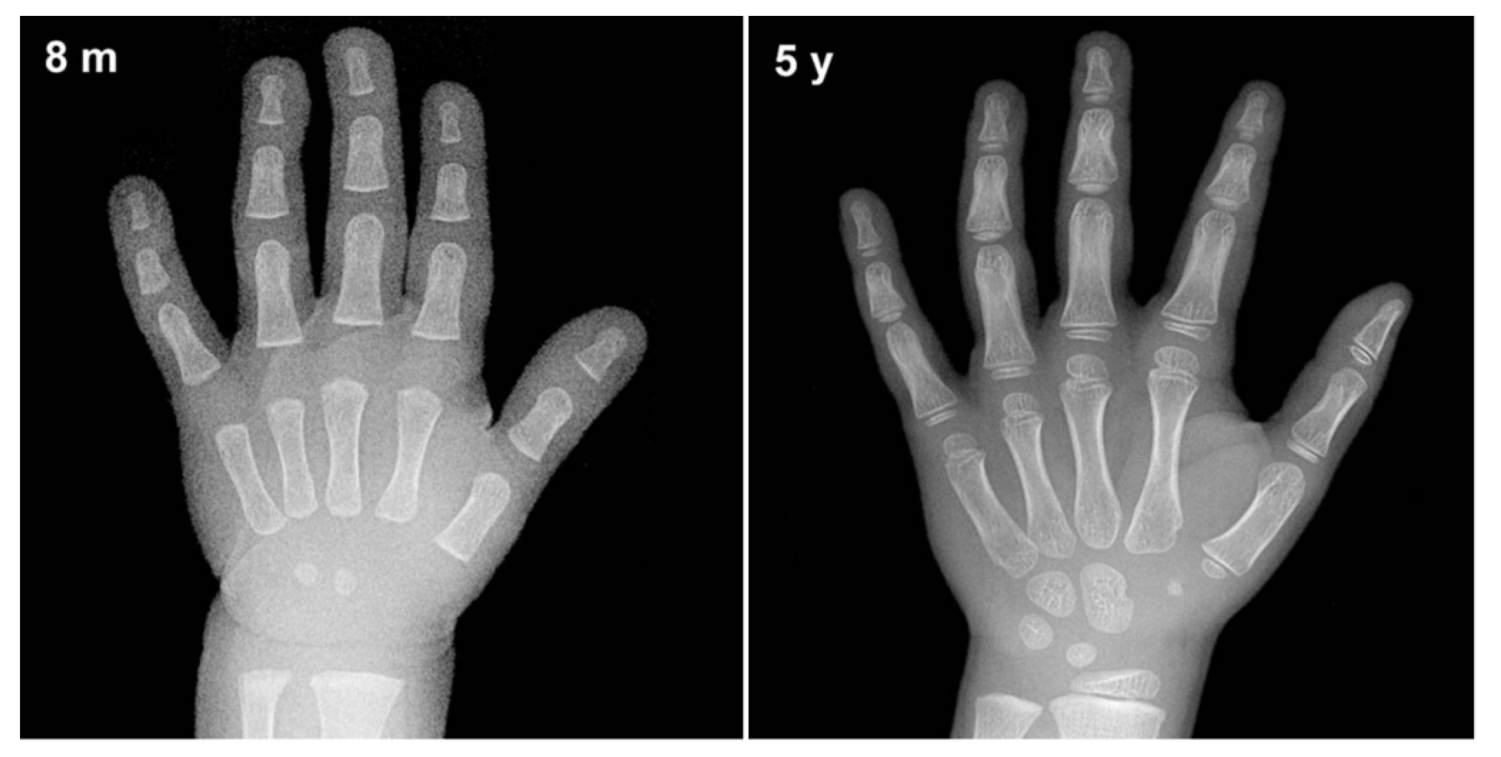 Diagnostics 11 00765 g001