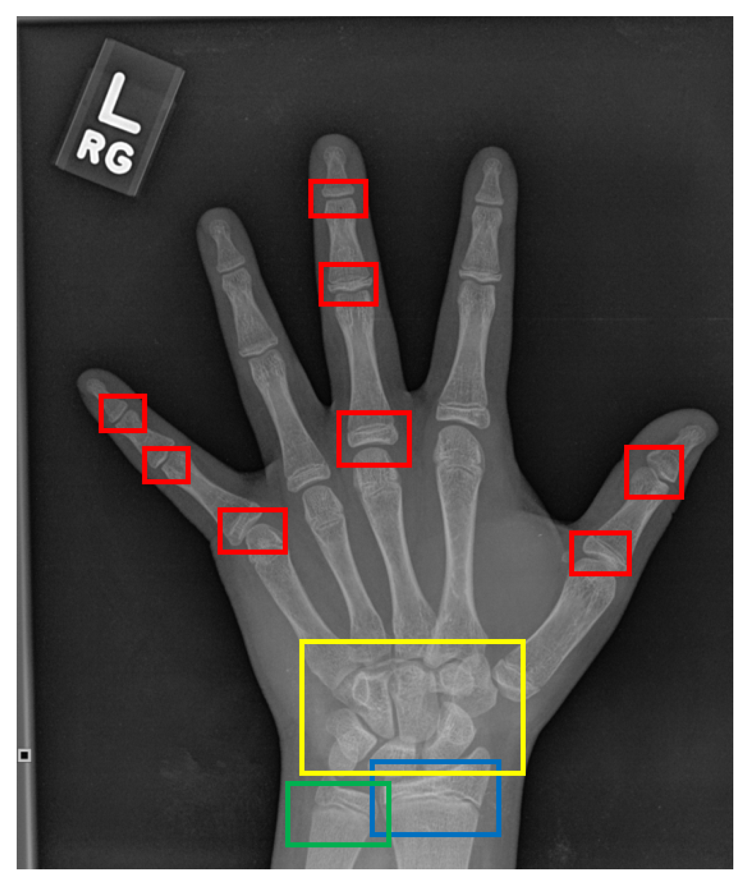 Diagnostics 11 00765 g002