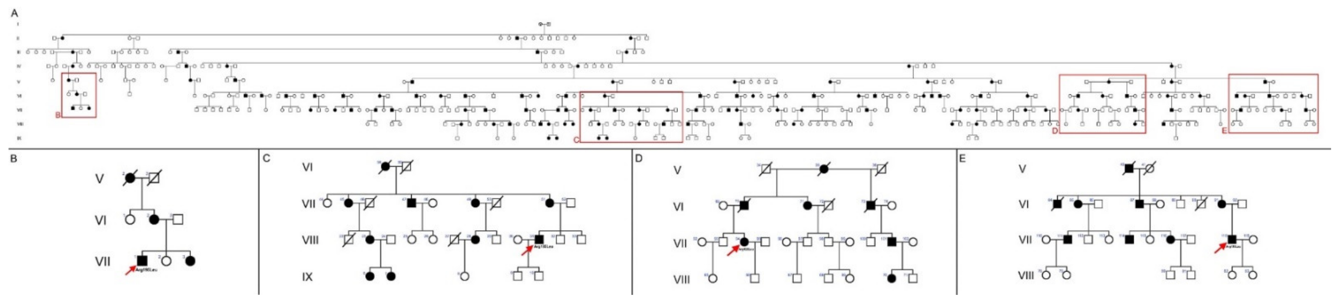 Diagnostics 11 00777 g001 Diagnostics 11 00777 g001