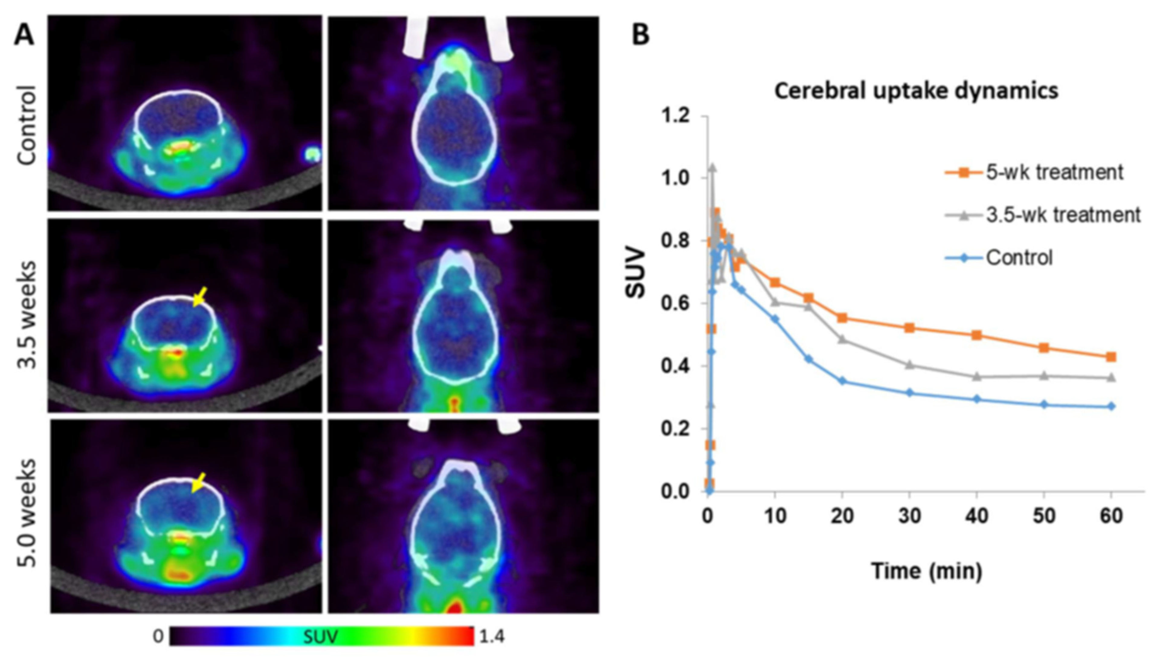 Diagnostics 11 00786 g003