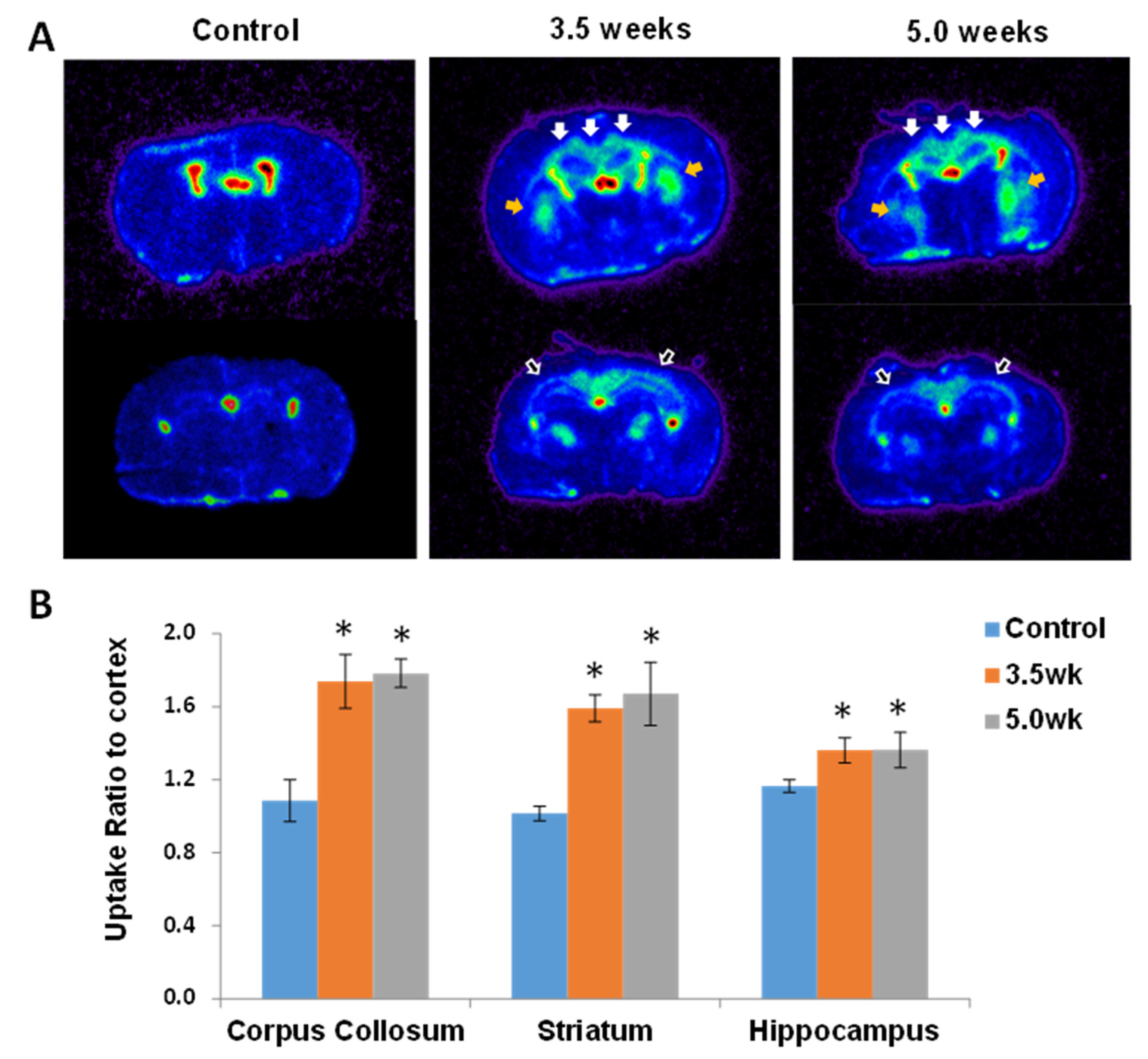 Diagnostics 11 00786 g005