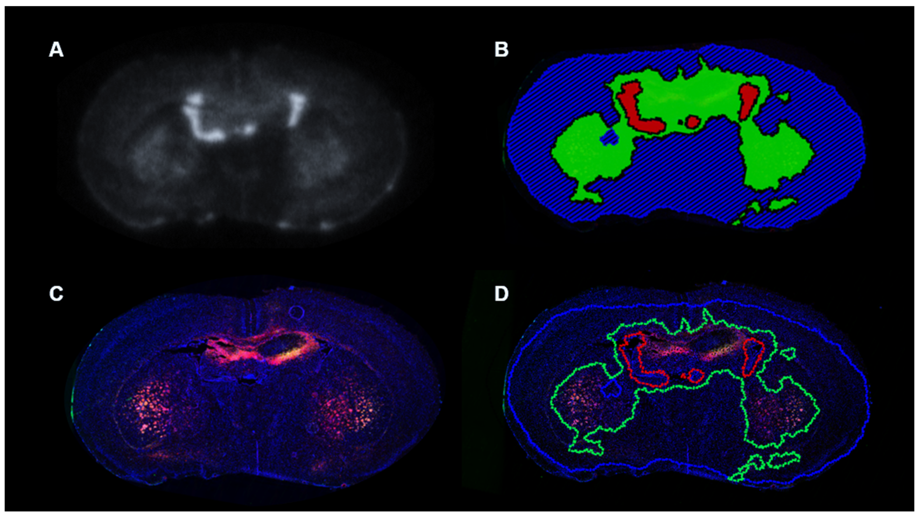 Diagnostics 11 00786 g006
