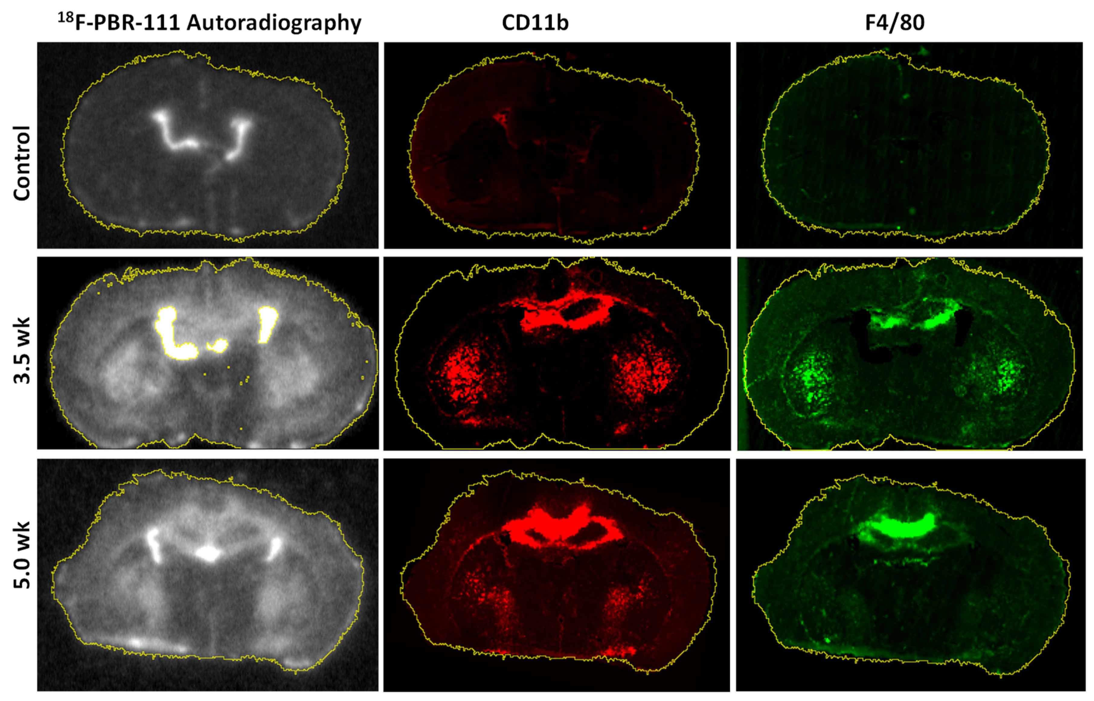 Diagnostics 11 00786 g008