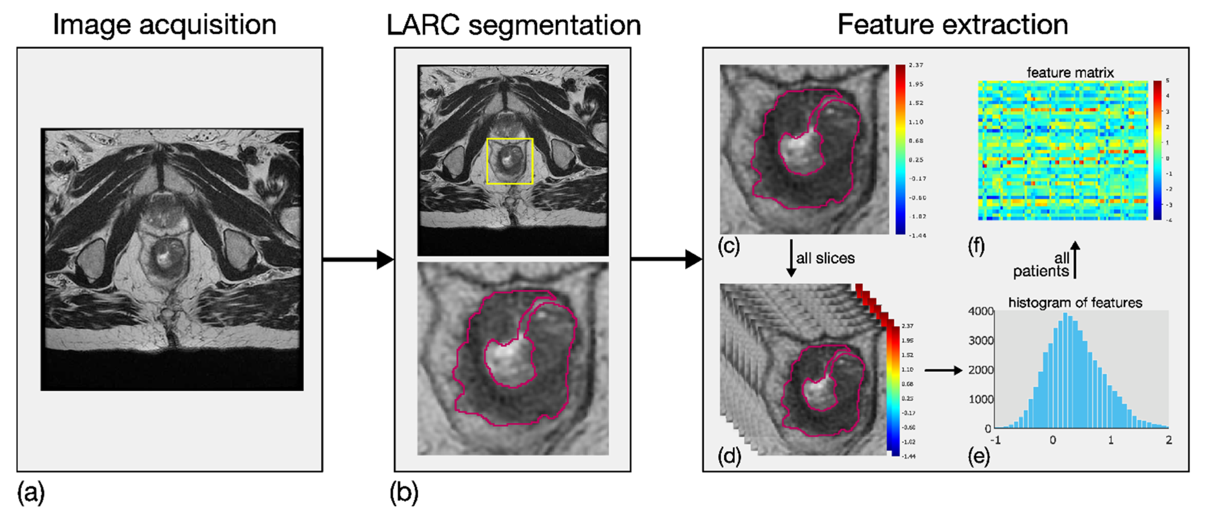 Diagnostics 11 00795 g002 Diagnostics 11 00795 g002