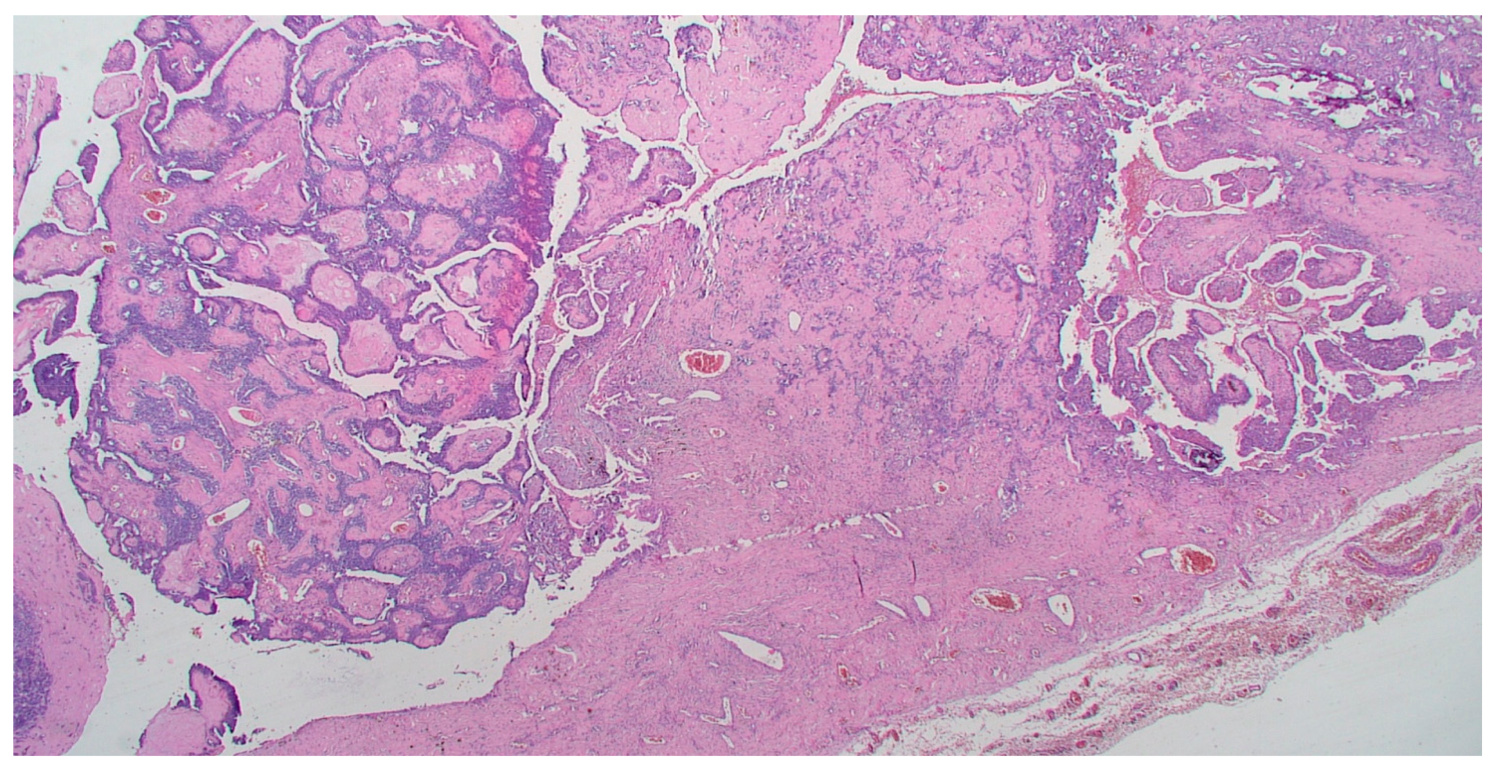 Diagnostics 11 00827 g001