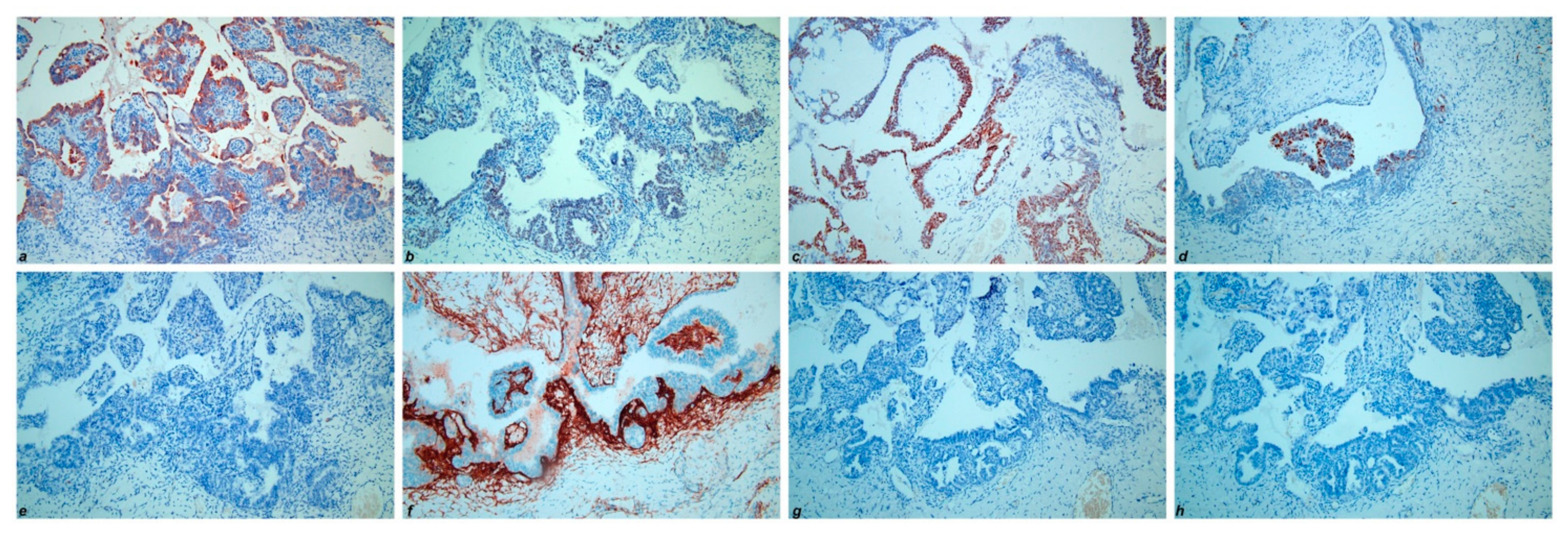 Diagnostics 11 00827 g004