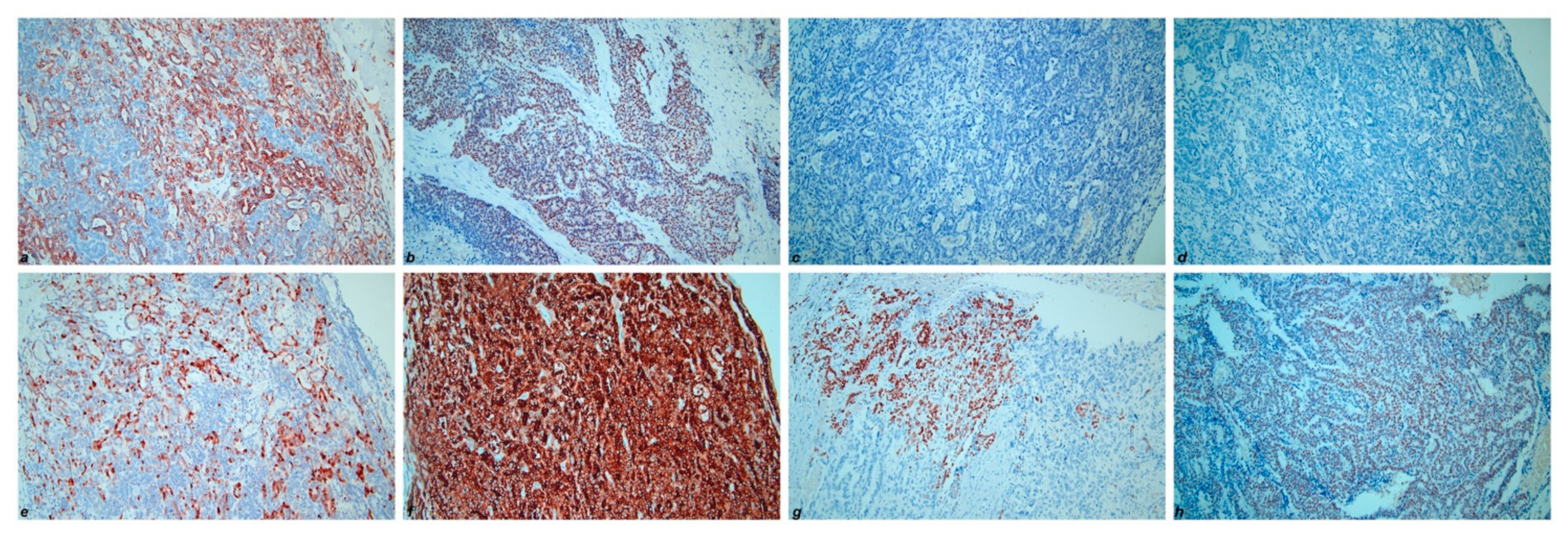 Diagnostics 11 00827 g005