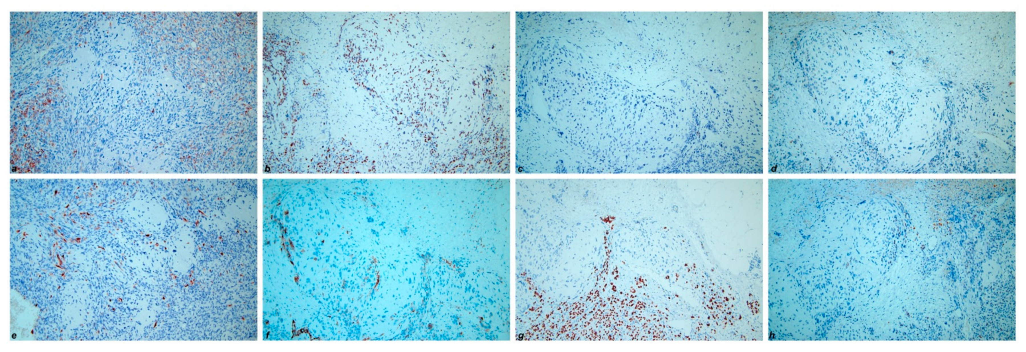 Diagnostics 11 00827 g006