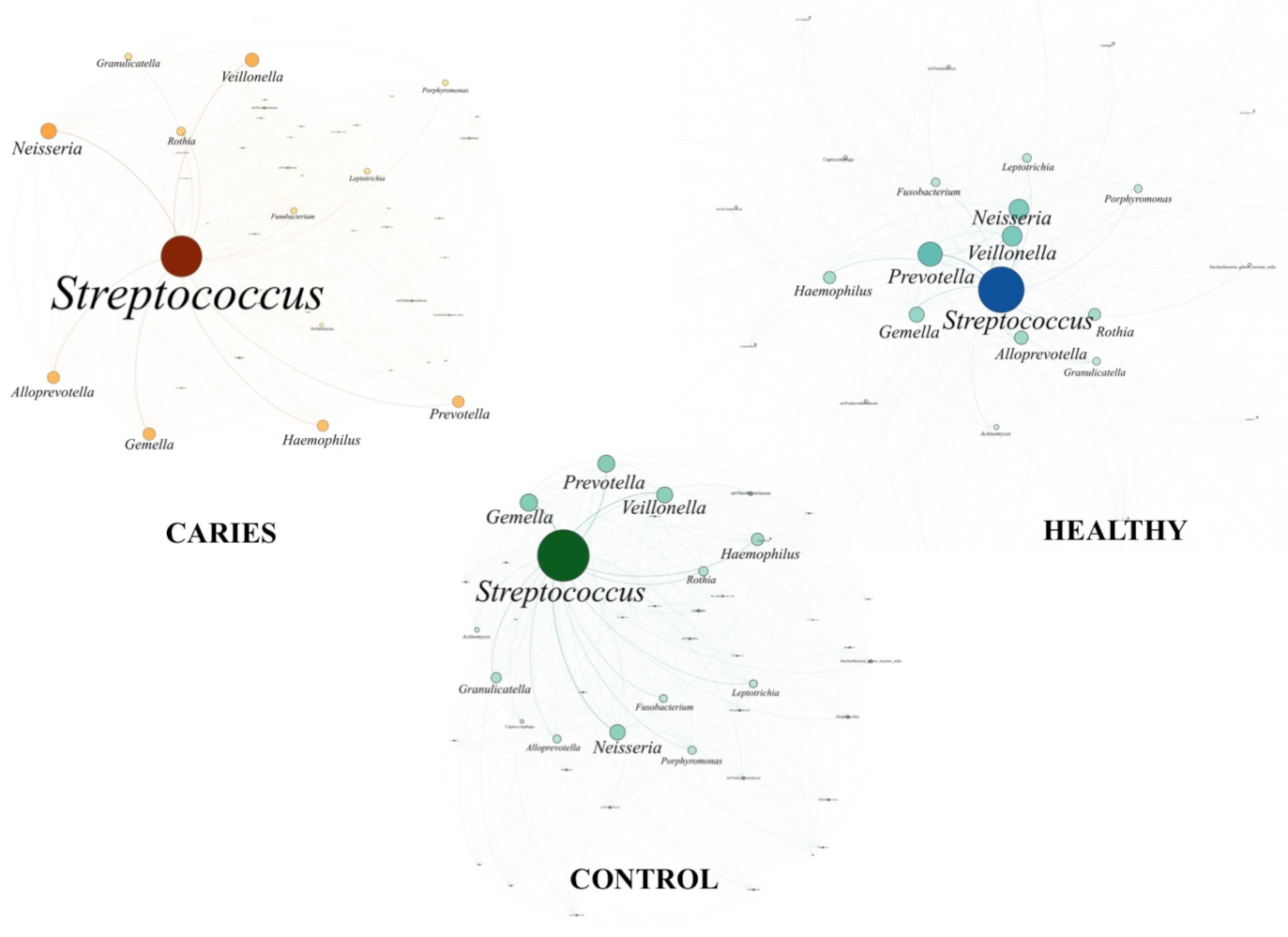 Diagnostics 11 00835 g004