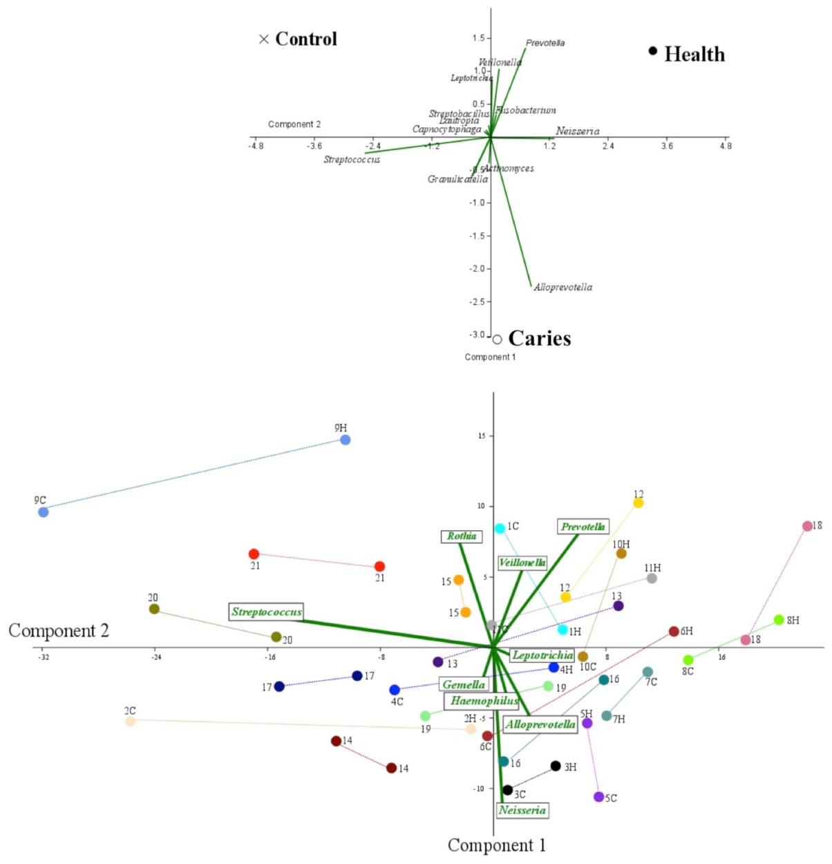 Diagnostics 11 00835 g005