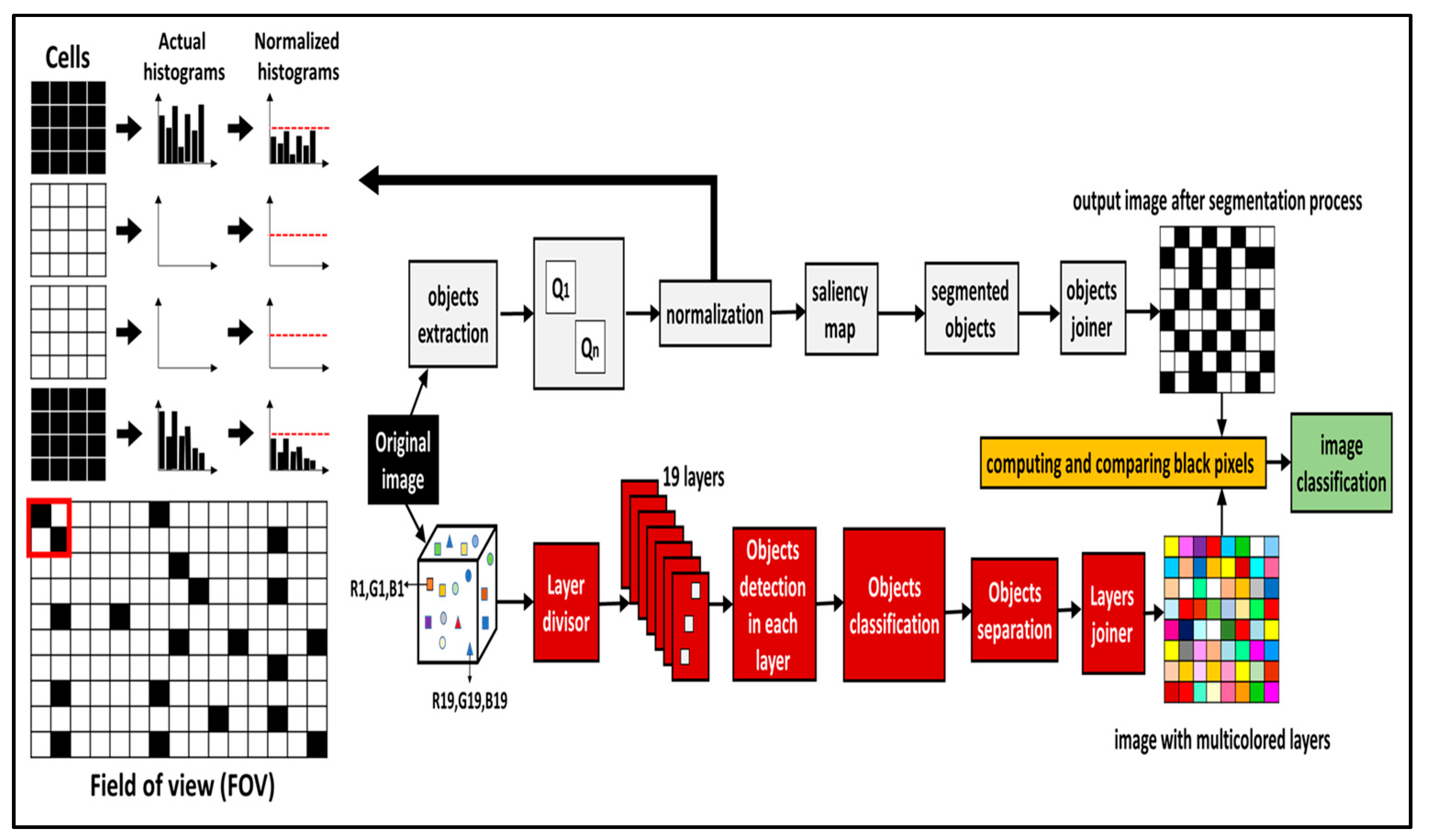 Diagnostics 11 00855 g001