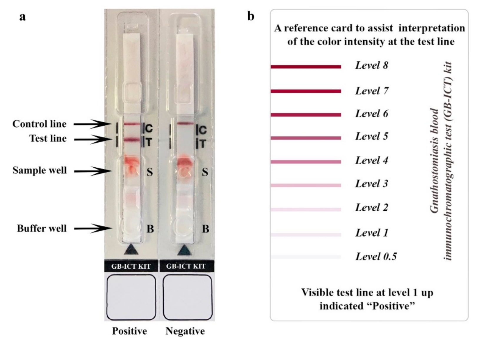 Diagnostics 11 00862 g002