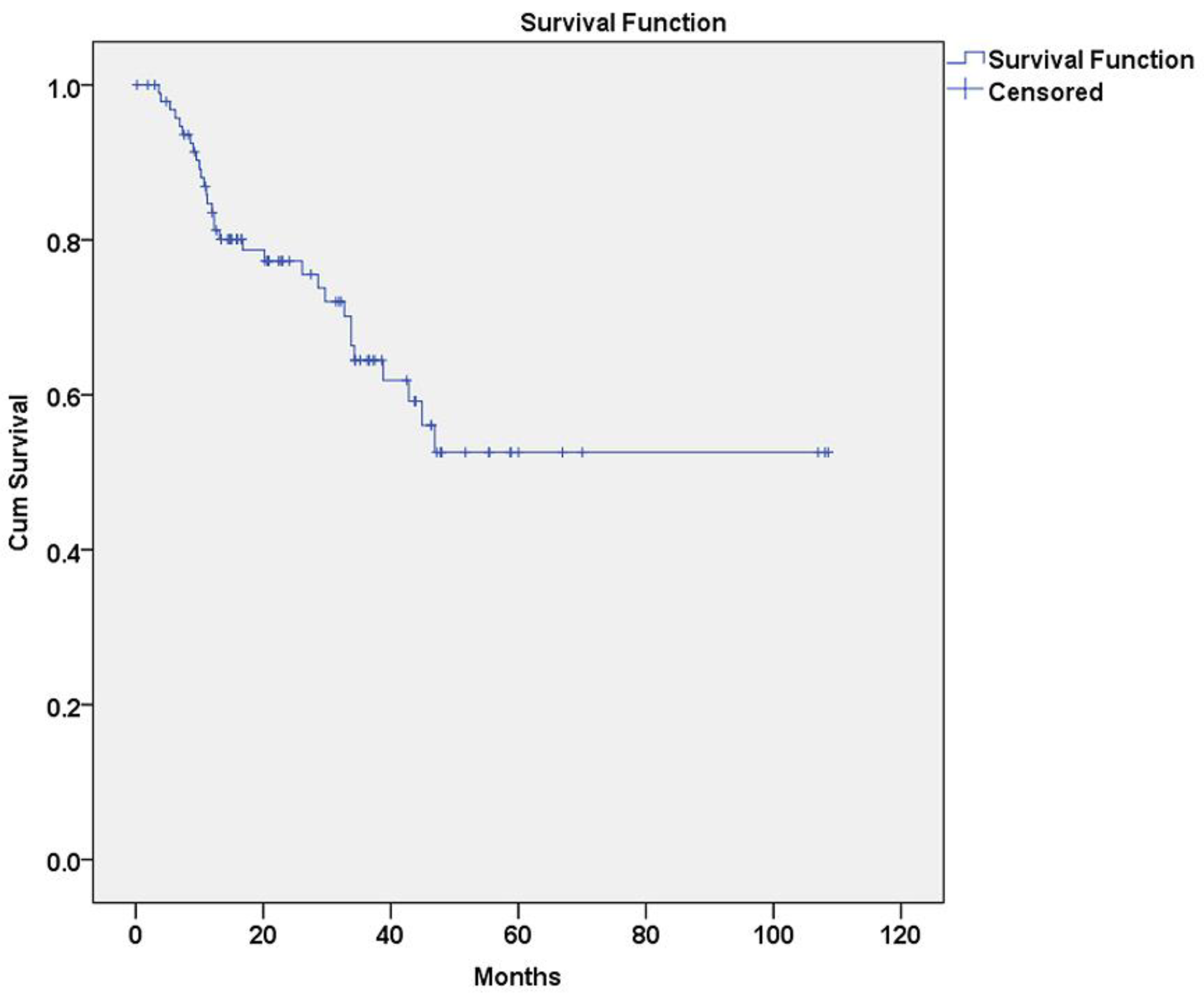 Diagnostics 11 00872 g002
