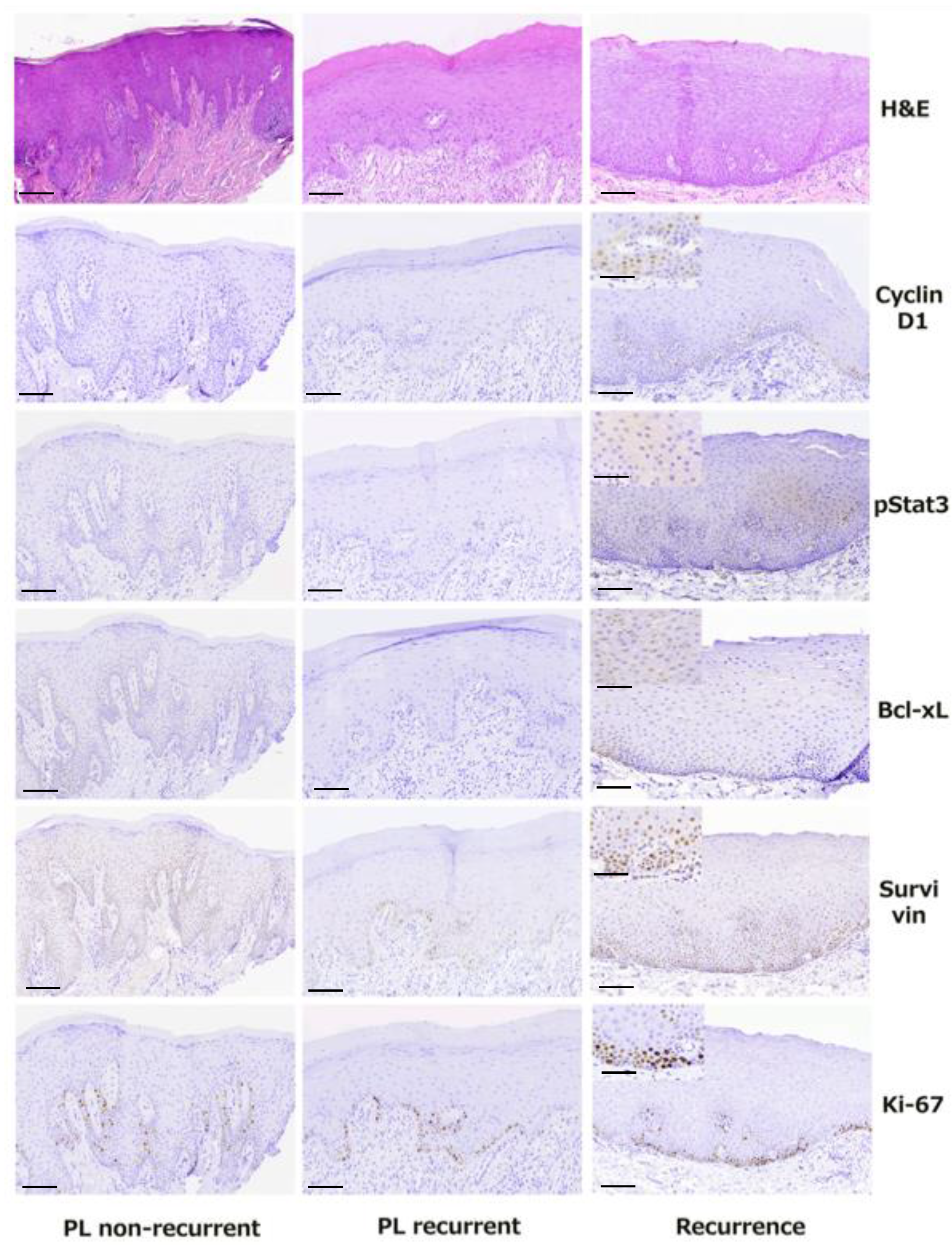 Diagnostics 11 00872 g003
