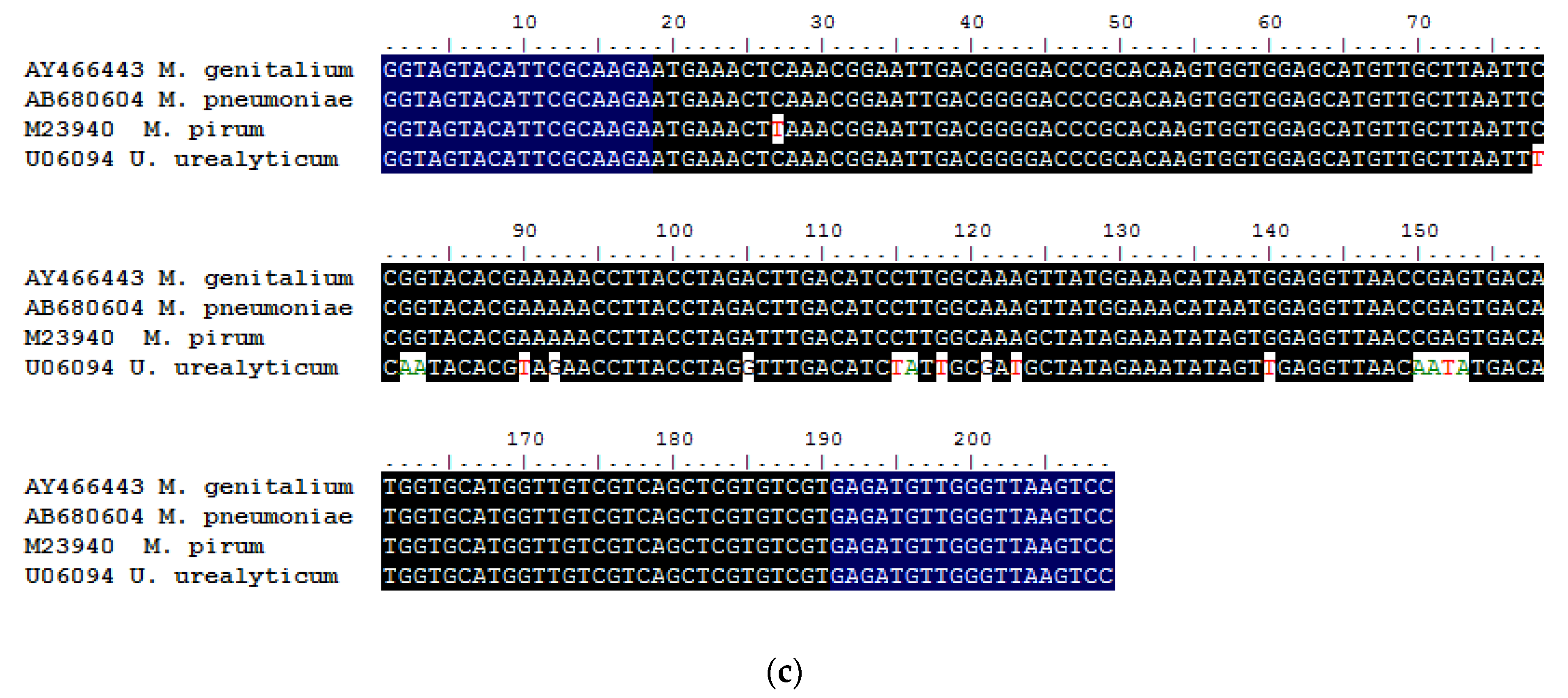 Diagnostics 11 00876 g001b
