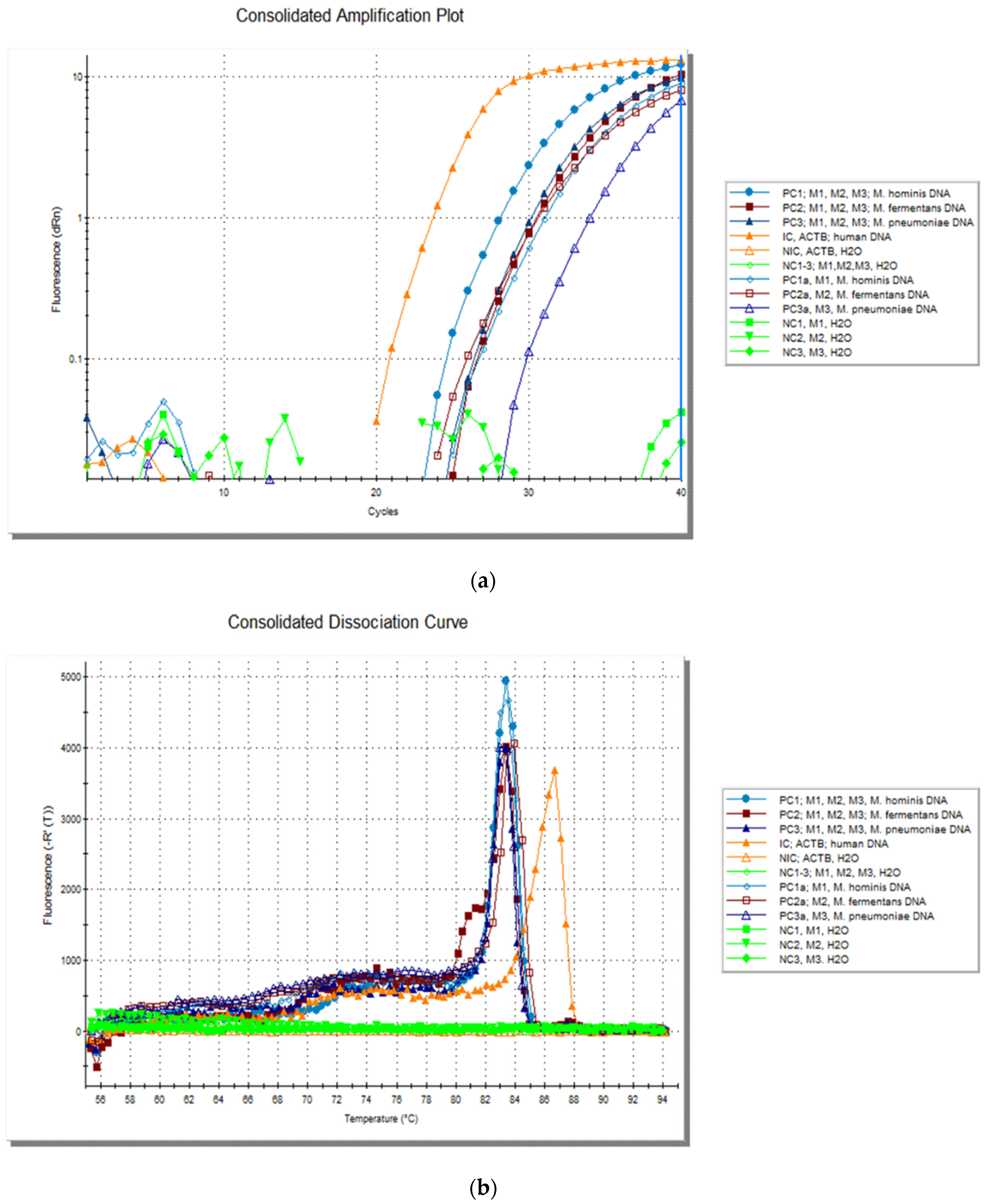 Diagnostics 11 00876 g002