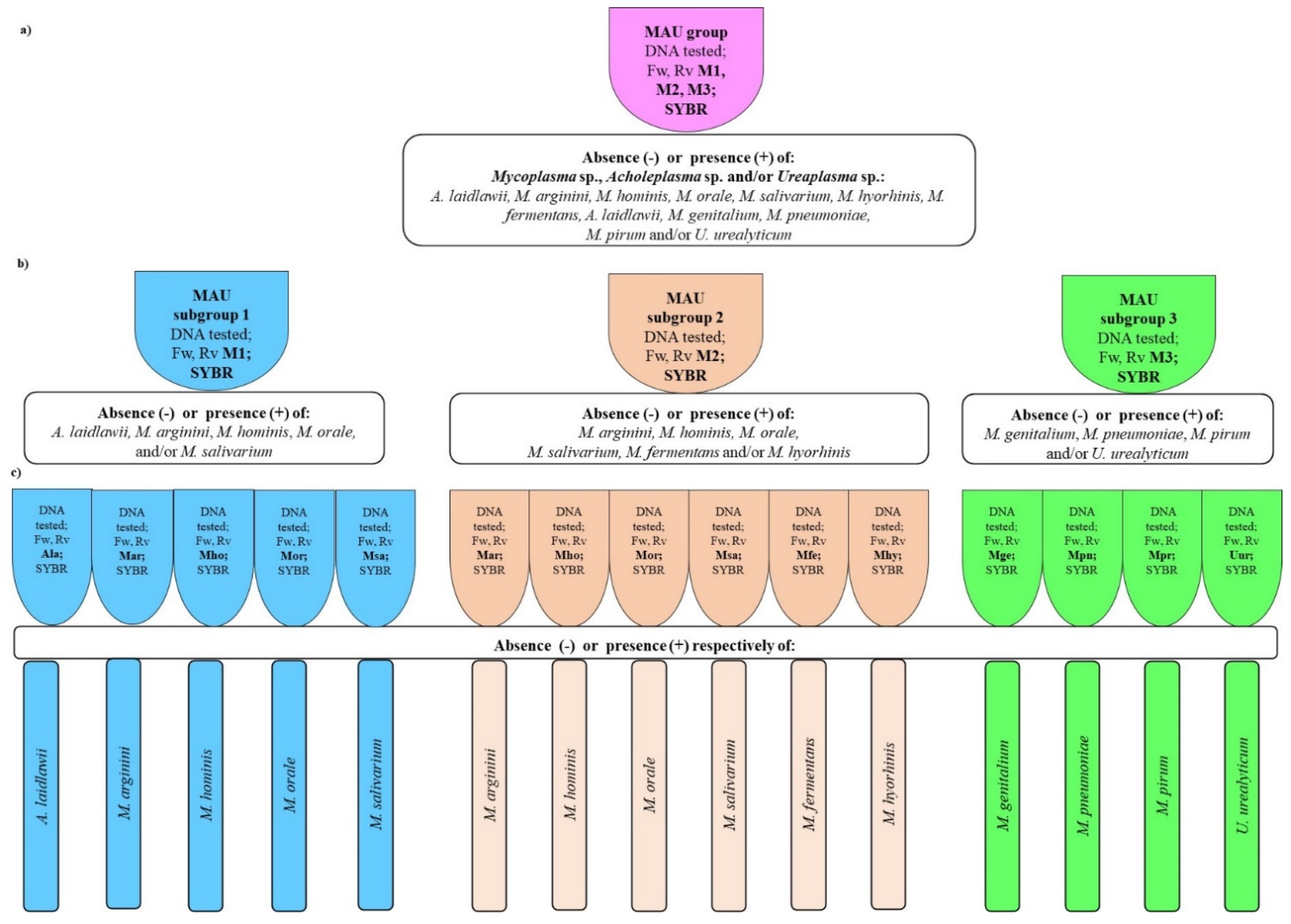 Diagnostics 11 00876 sch001