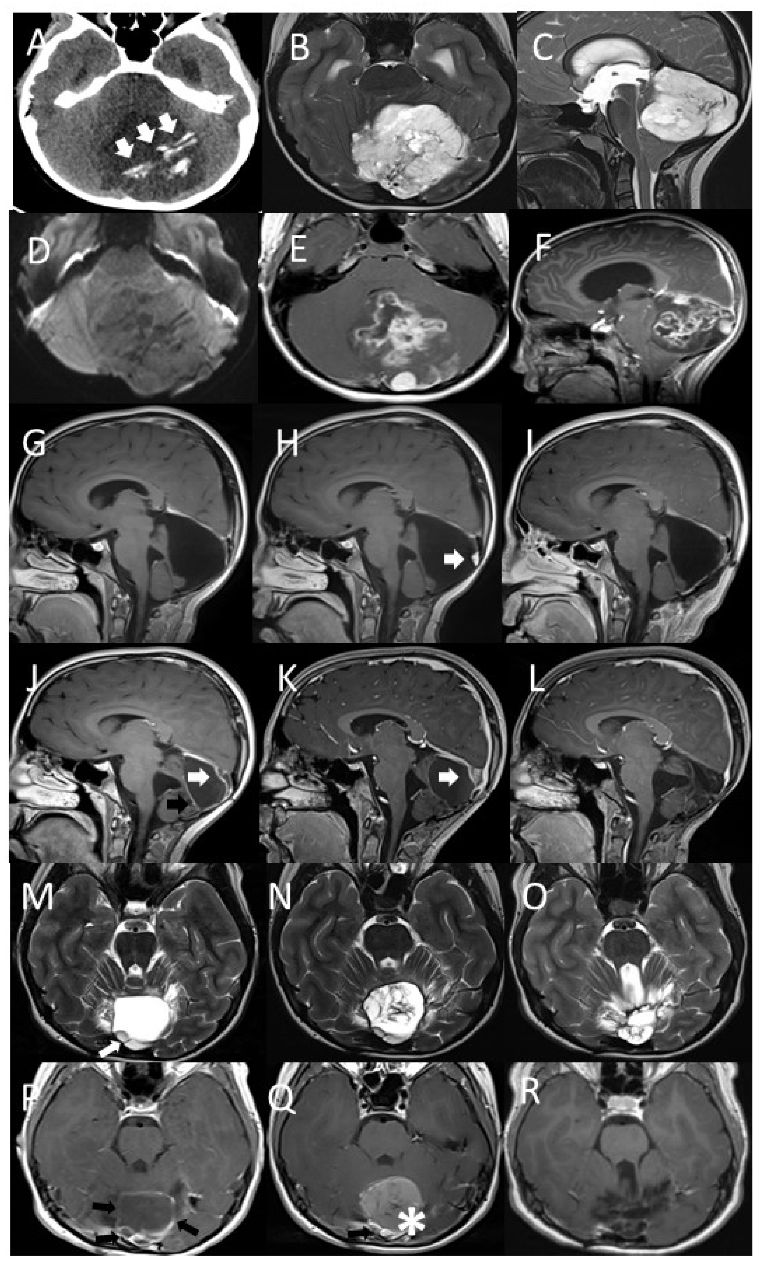 Diagnostics 11 00903 g001 Diagnostics 11 00903 g001