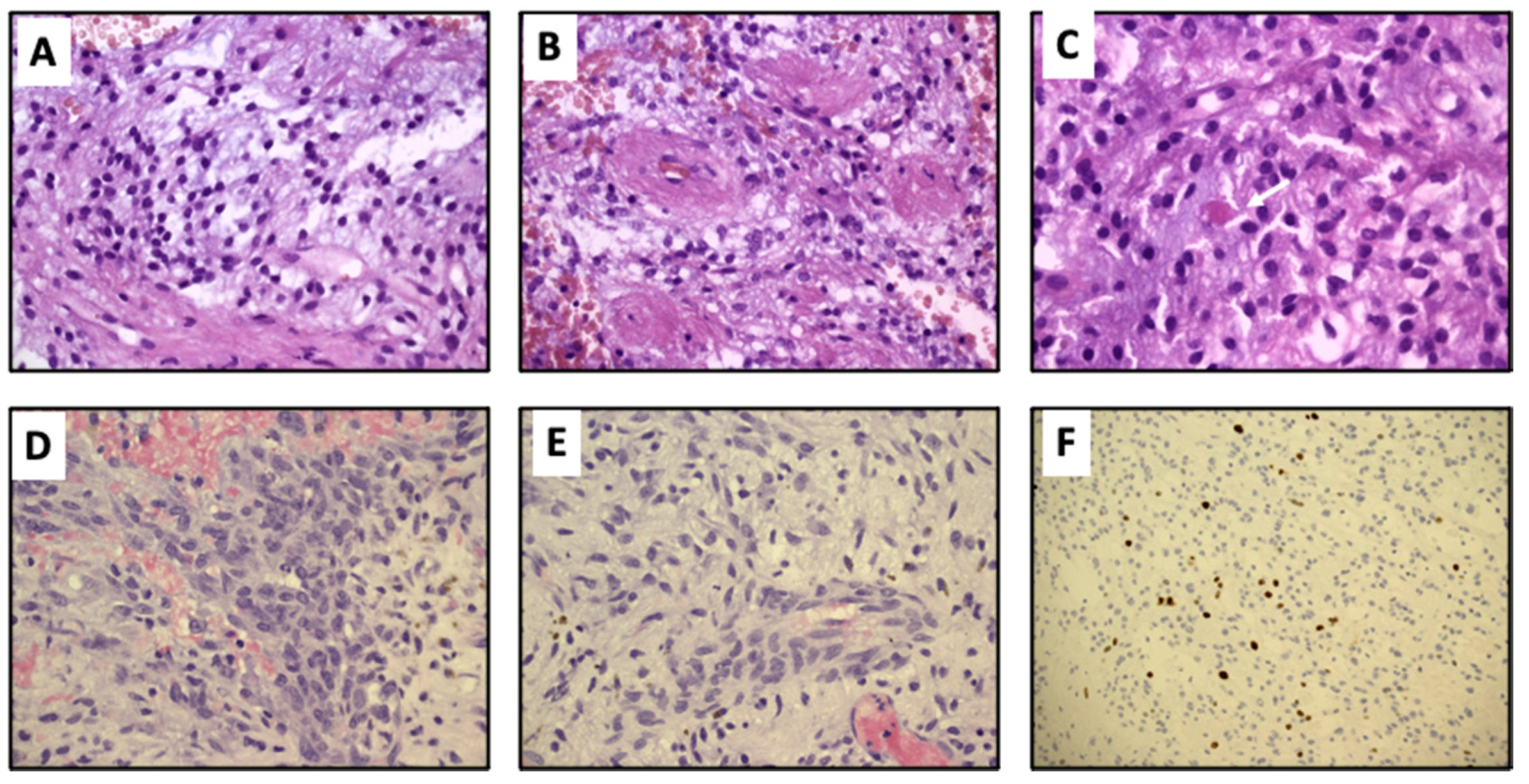 Diagnostics 11 00903 g002 Diagnostics 11 00903 g002