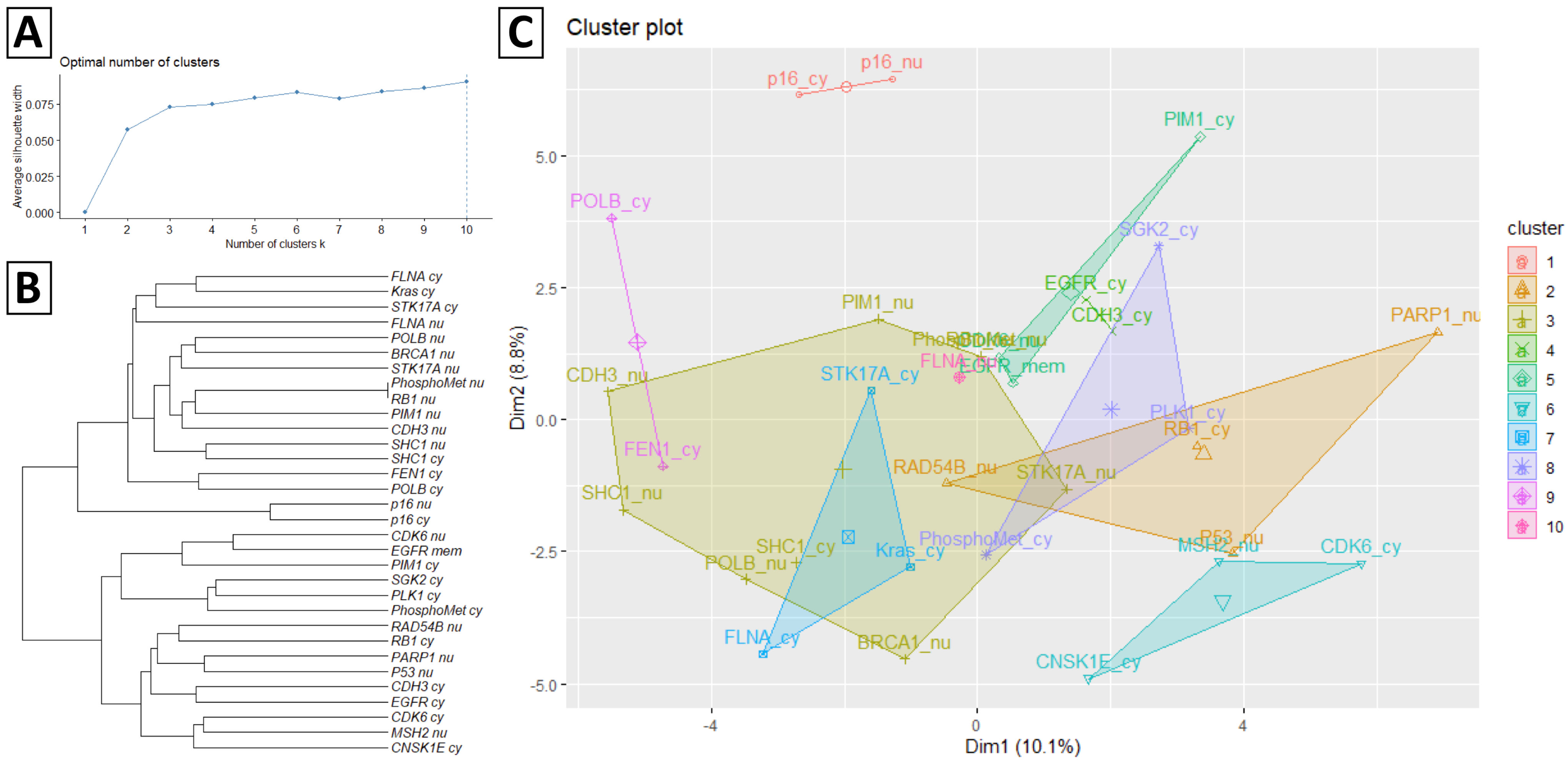 Diagnostics 11 00925 g002 Diagnostics 11 00925 g002