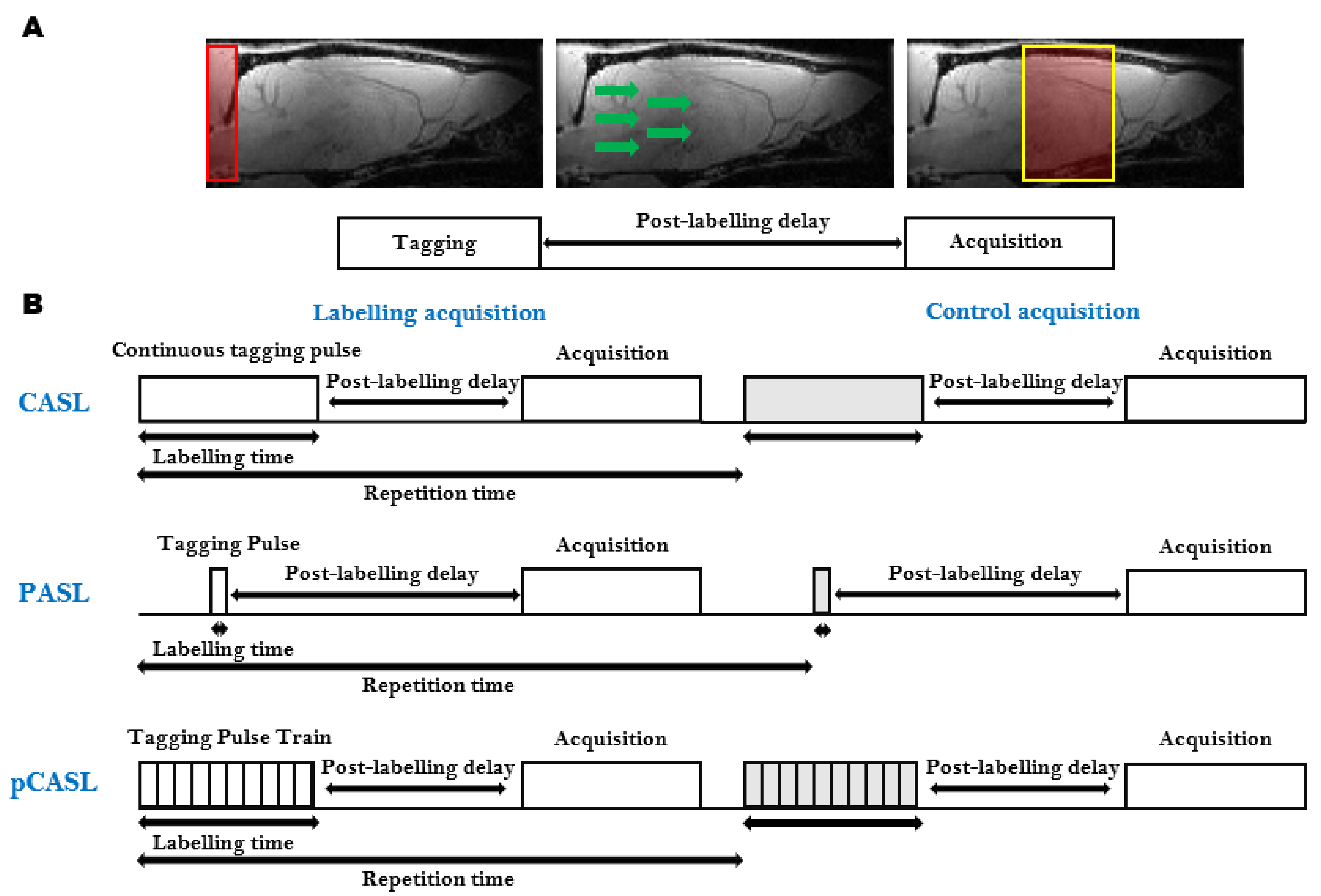 Diagnostics 11 00926 g003 Diagnostics 11 00926 g003