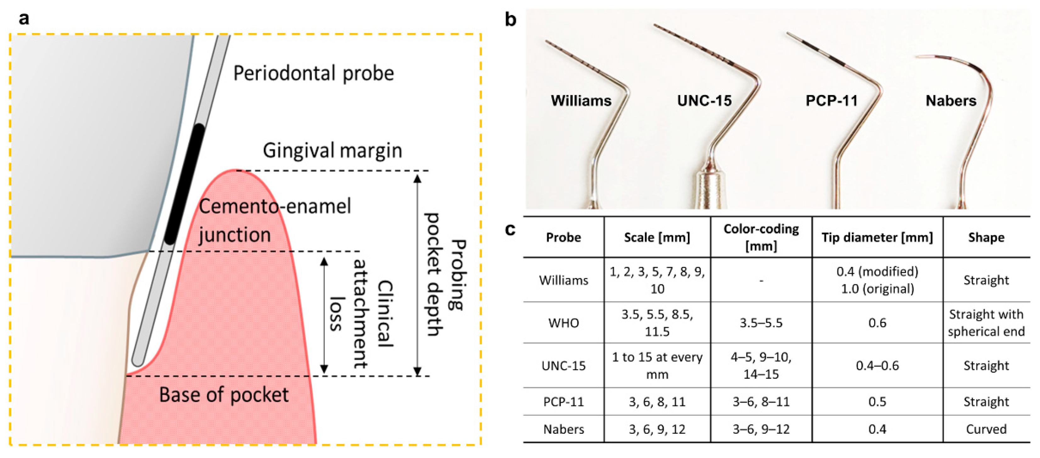 Diagnostics 11 00932 g001