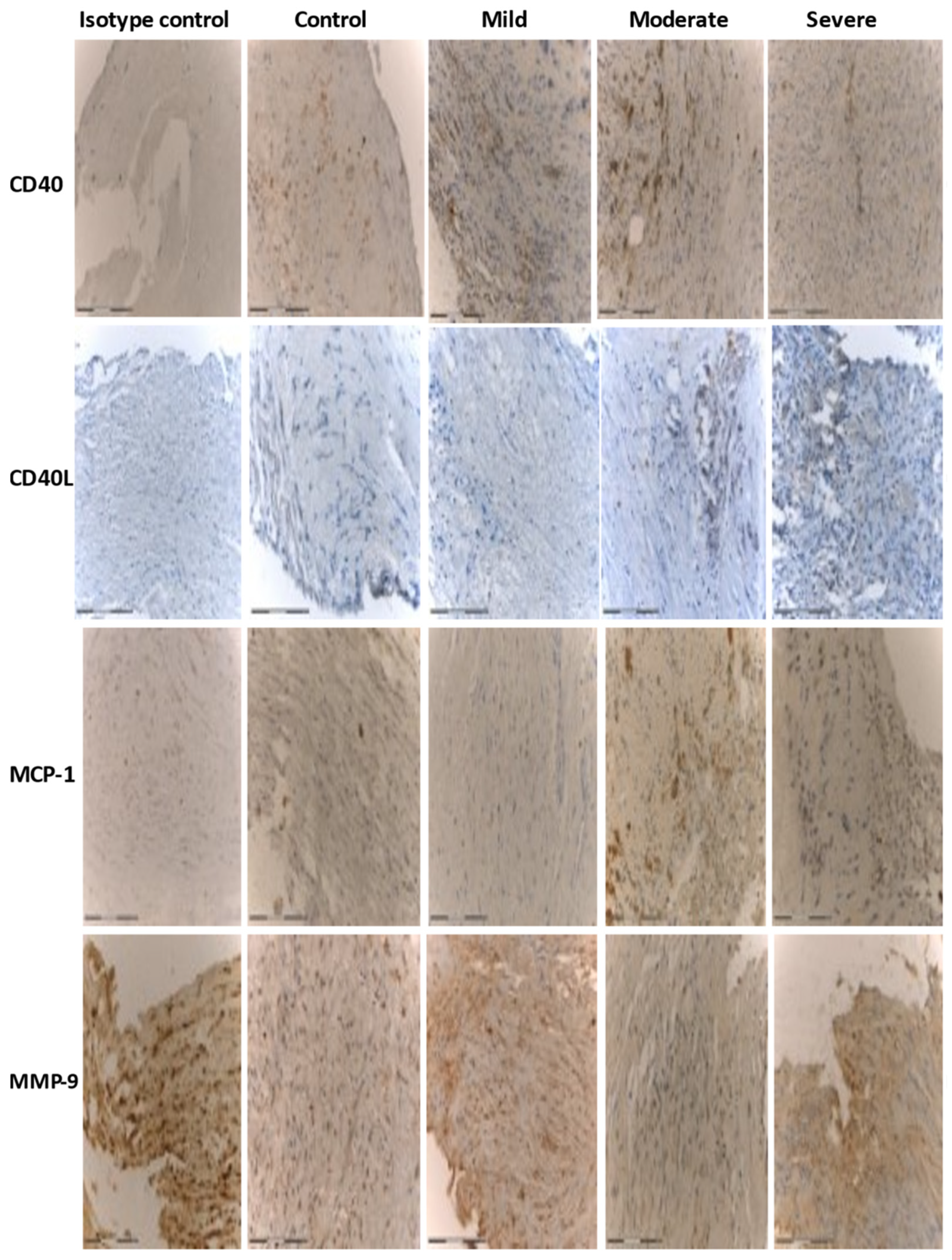 Diagnostics 11 00935 g001 Diagnostics 11 00935 g001