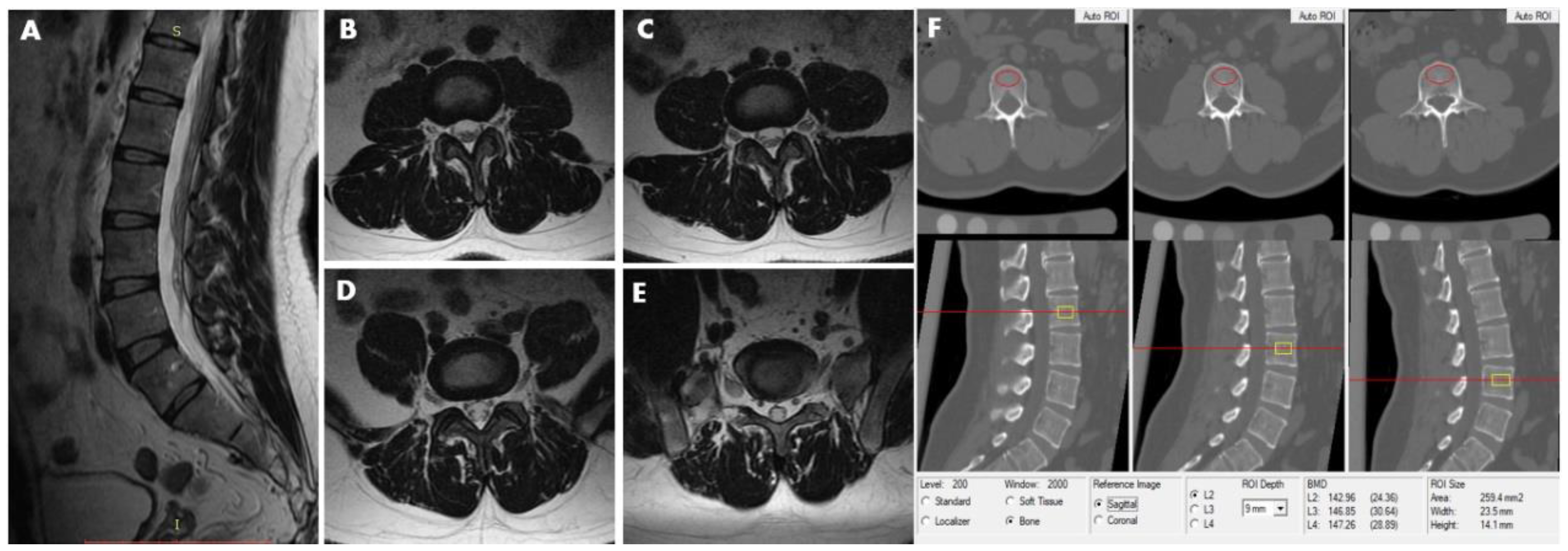 Diagnostics 11 00938 g001 Diagnostics 11 00938 g001