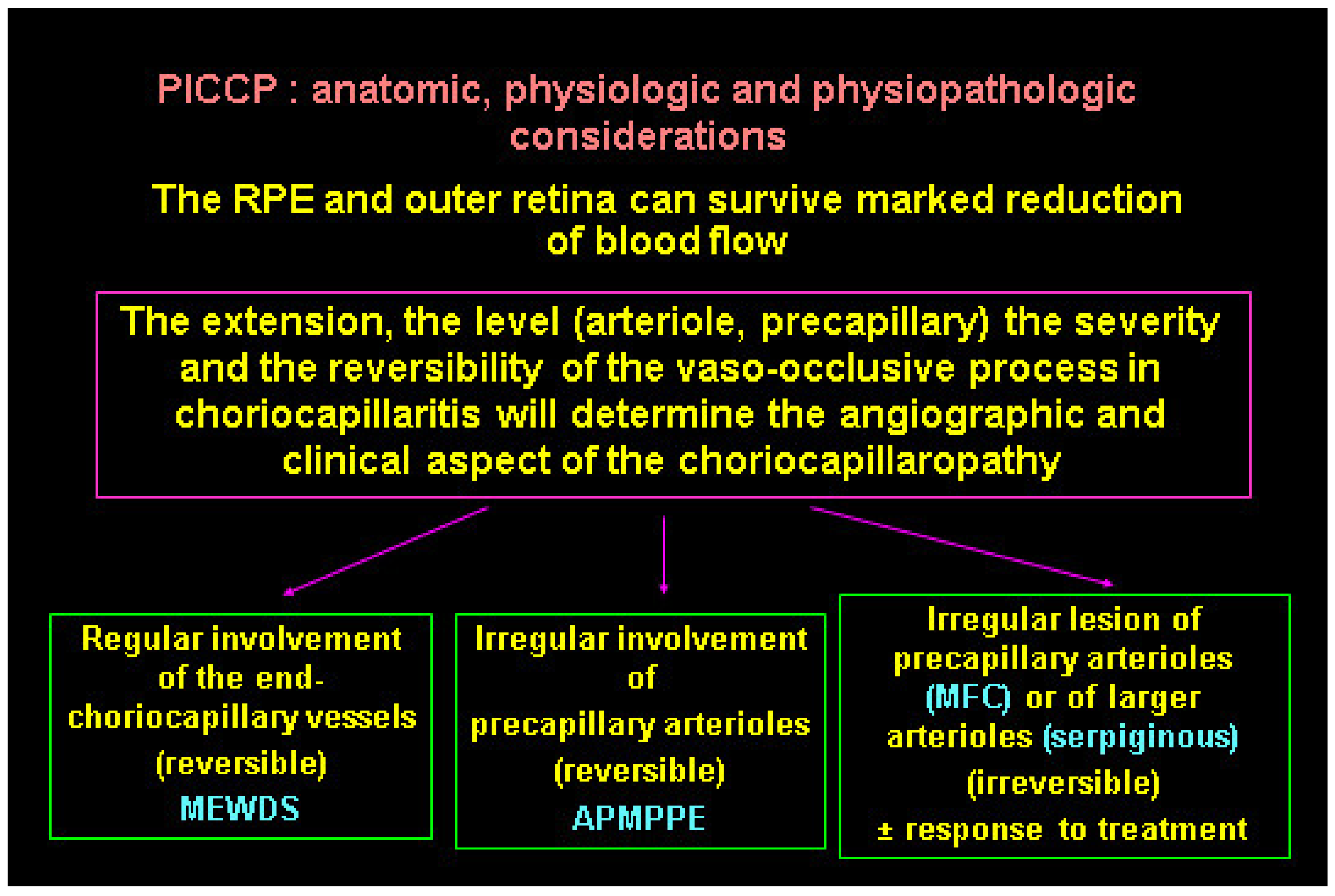Diagnostics 11 00939 g027 Diagnostics 11 00939 g027