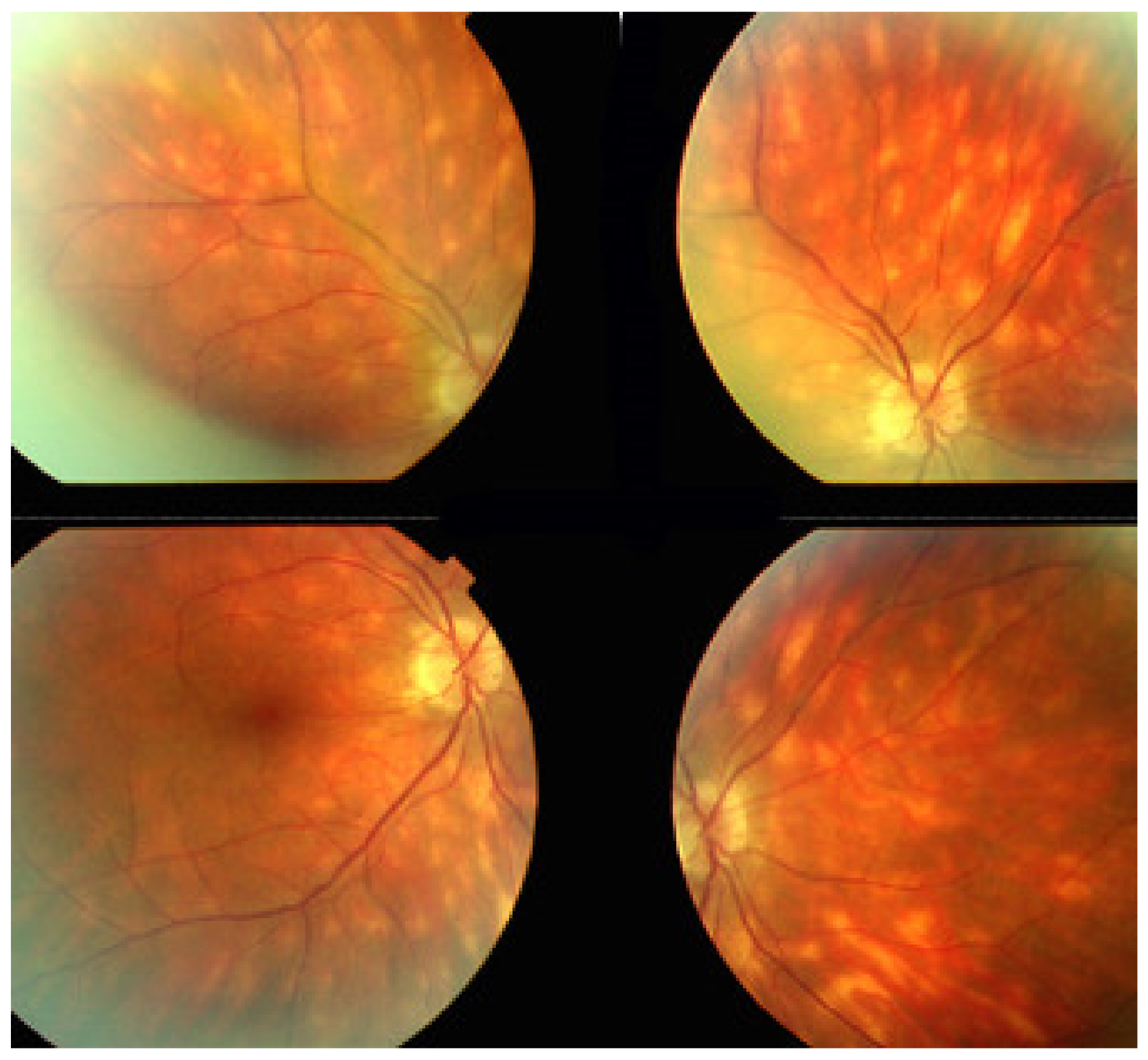 Diagnostics 11 00939 g040 Diagnostics 11 00939 g040