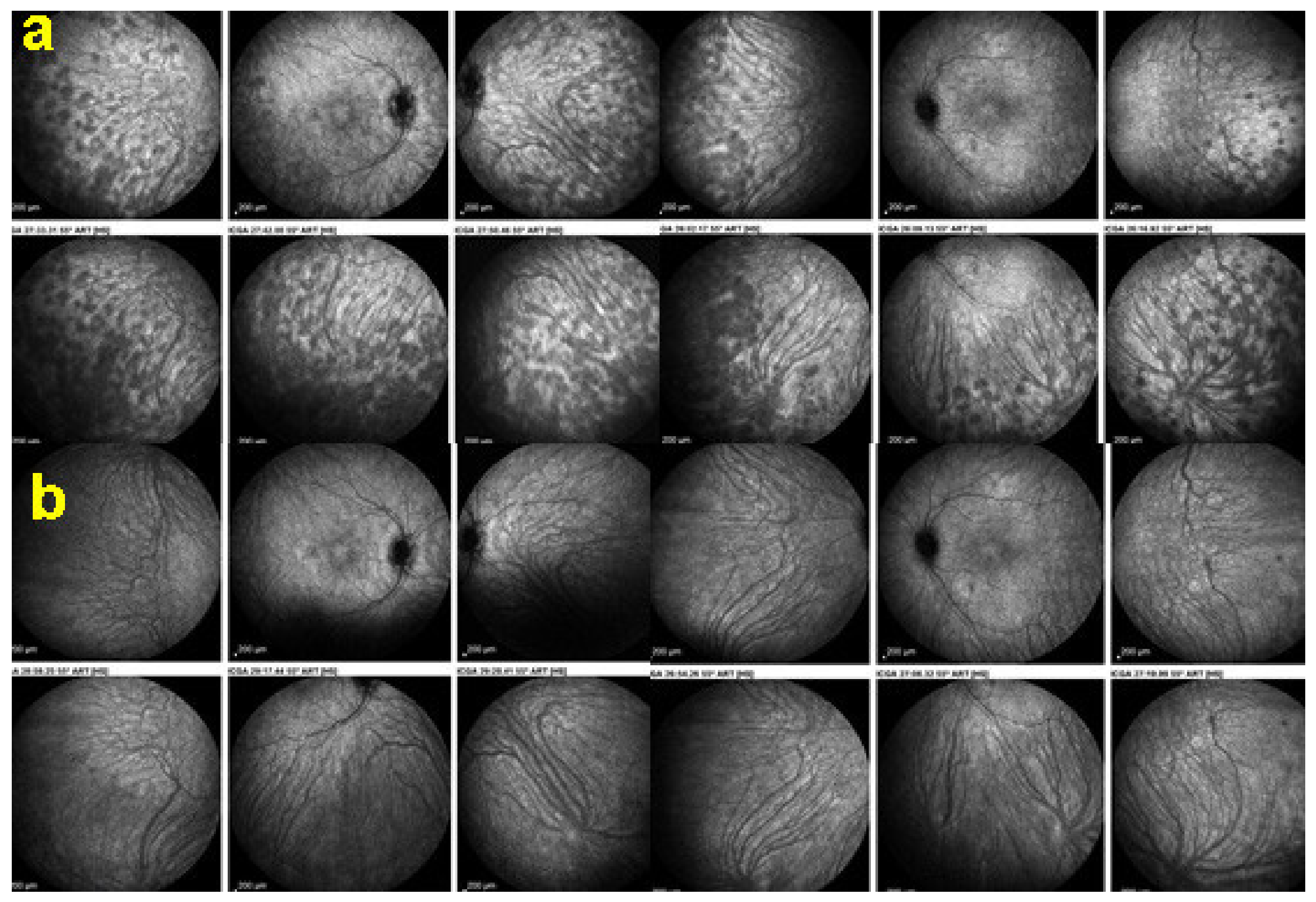 Diagnostics 11 00939 g049 Diagnostics 11 00939 g049