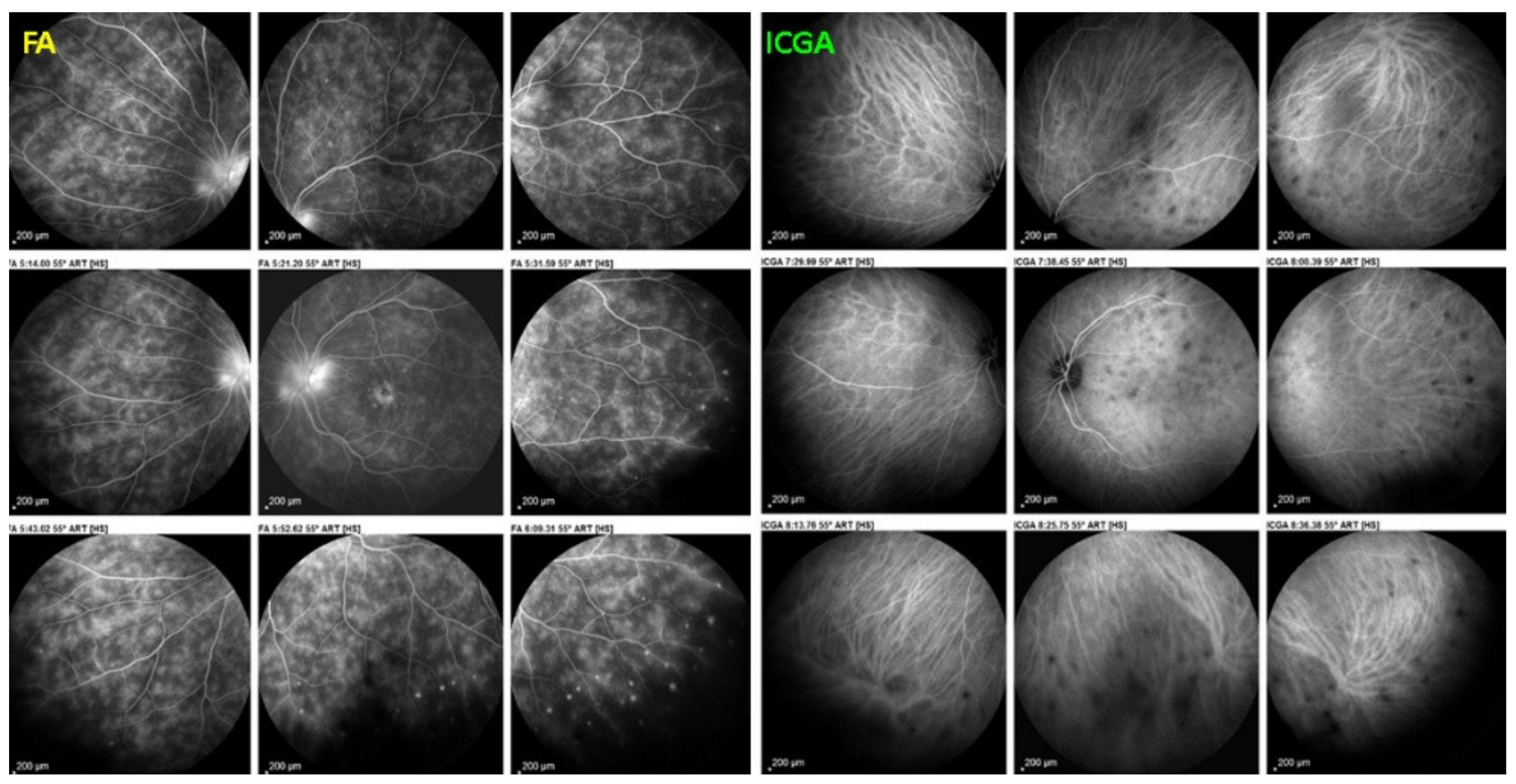 Diagnostics 11 00939 g052 Diagnostics 11 00939 g052