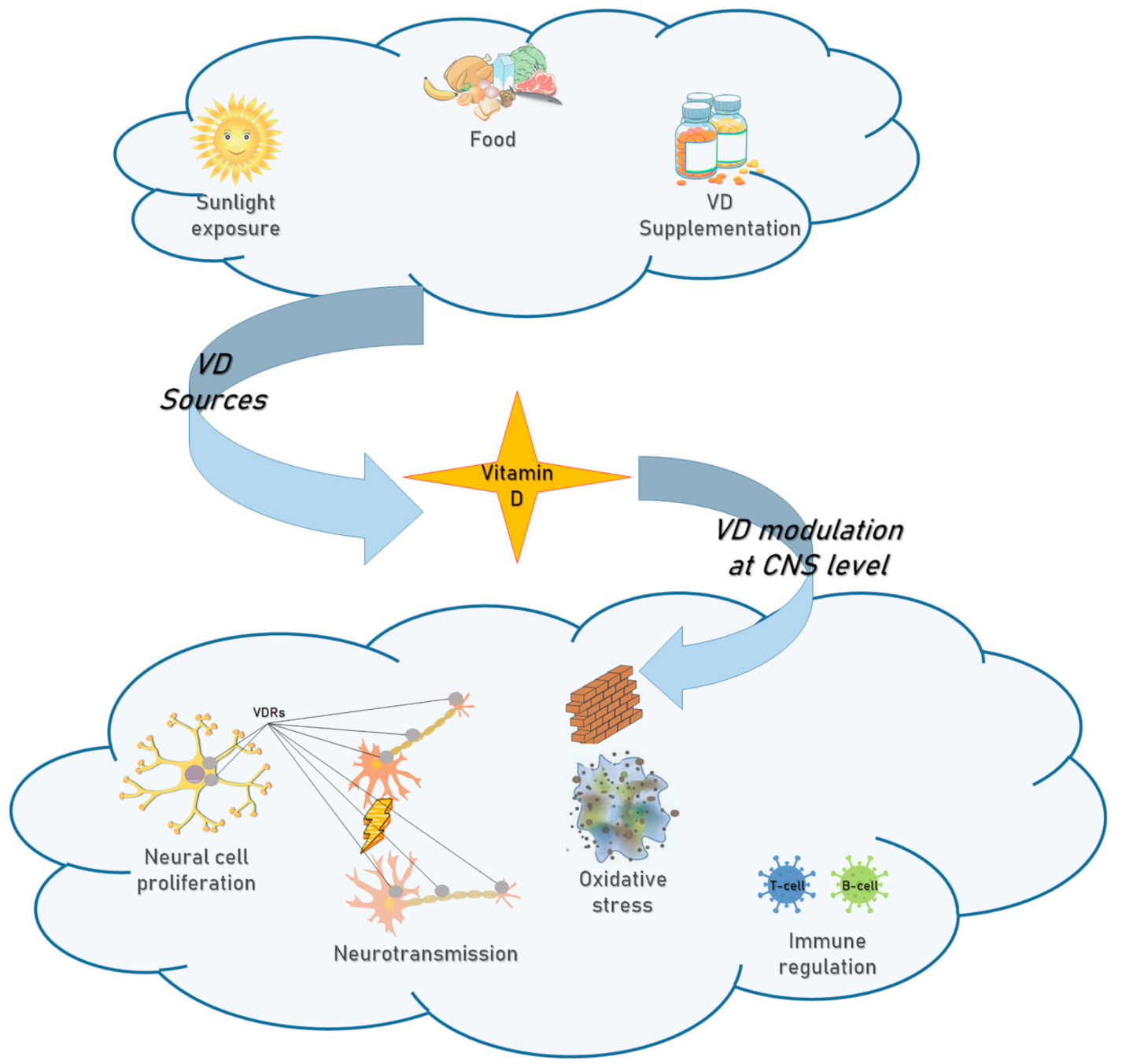 Diagnostics 11 00940 g002