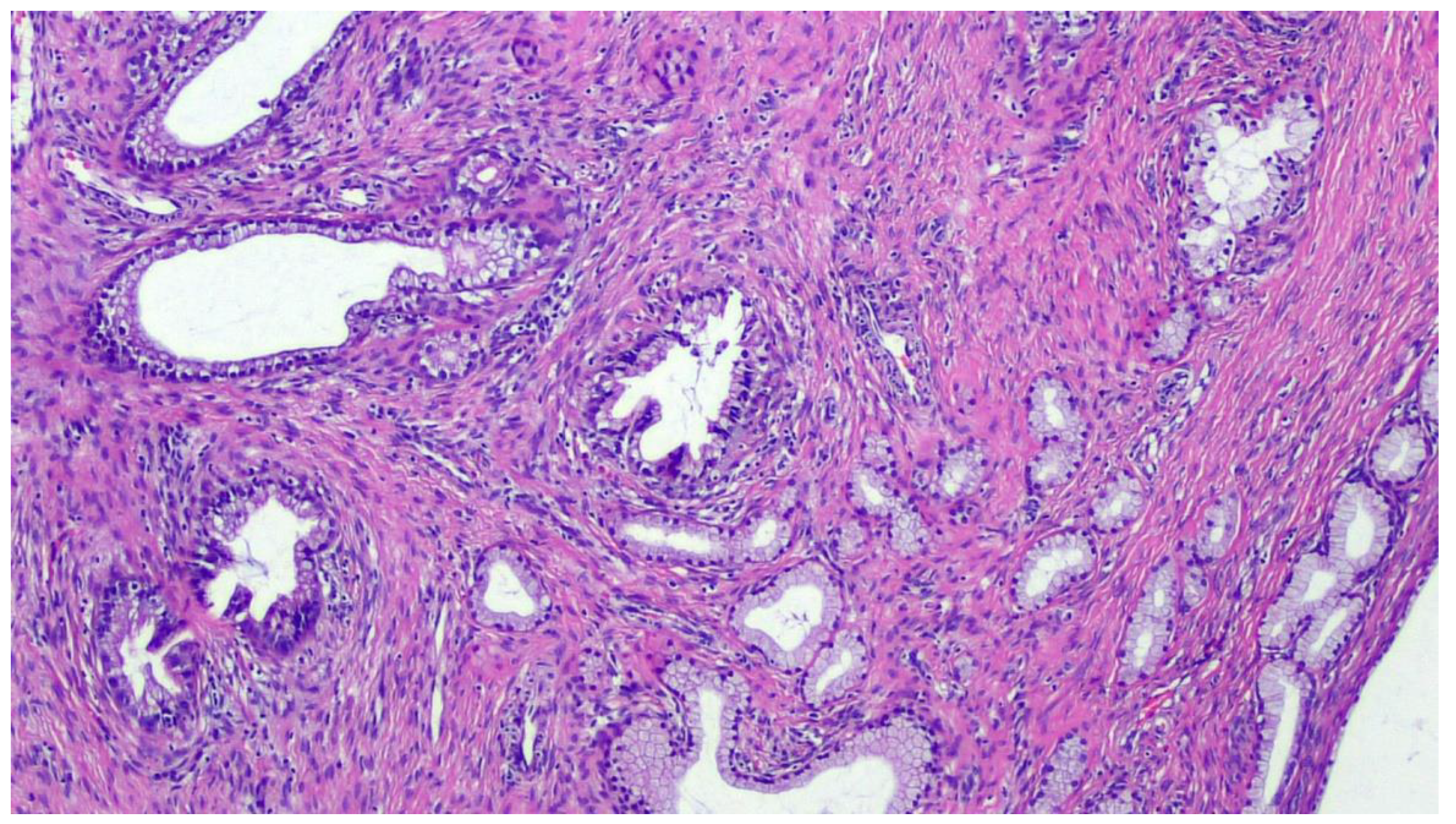 Diagnostics 11 00952 g001