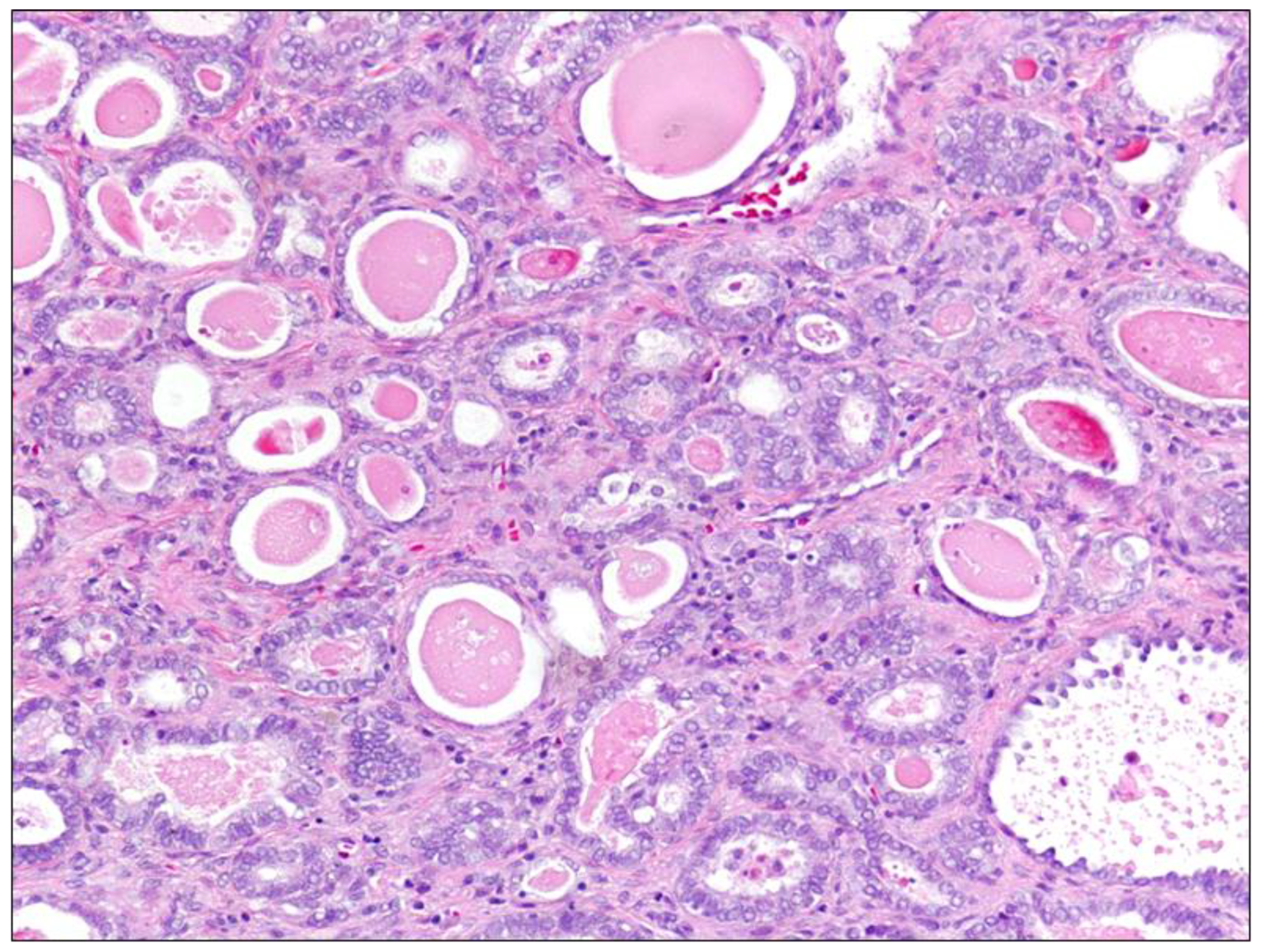 Diagnostics 11 00952 g002