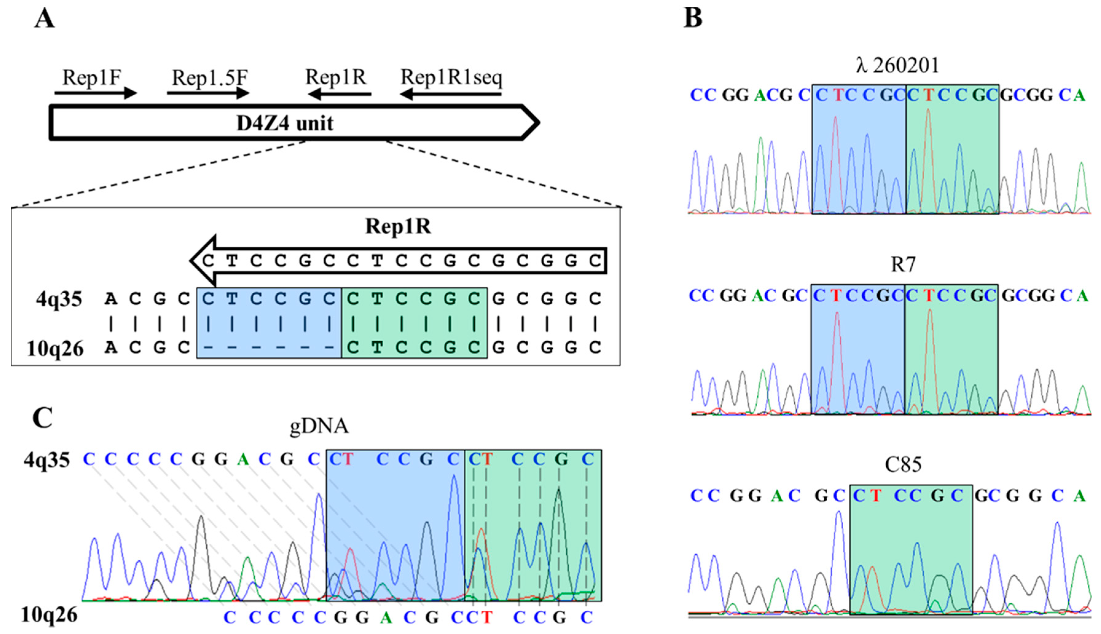 Diagnostics 11 00982 g001 Diagnostics 11 00982 g001