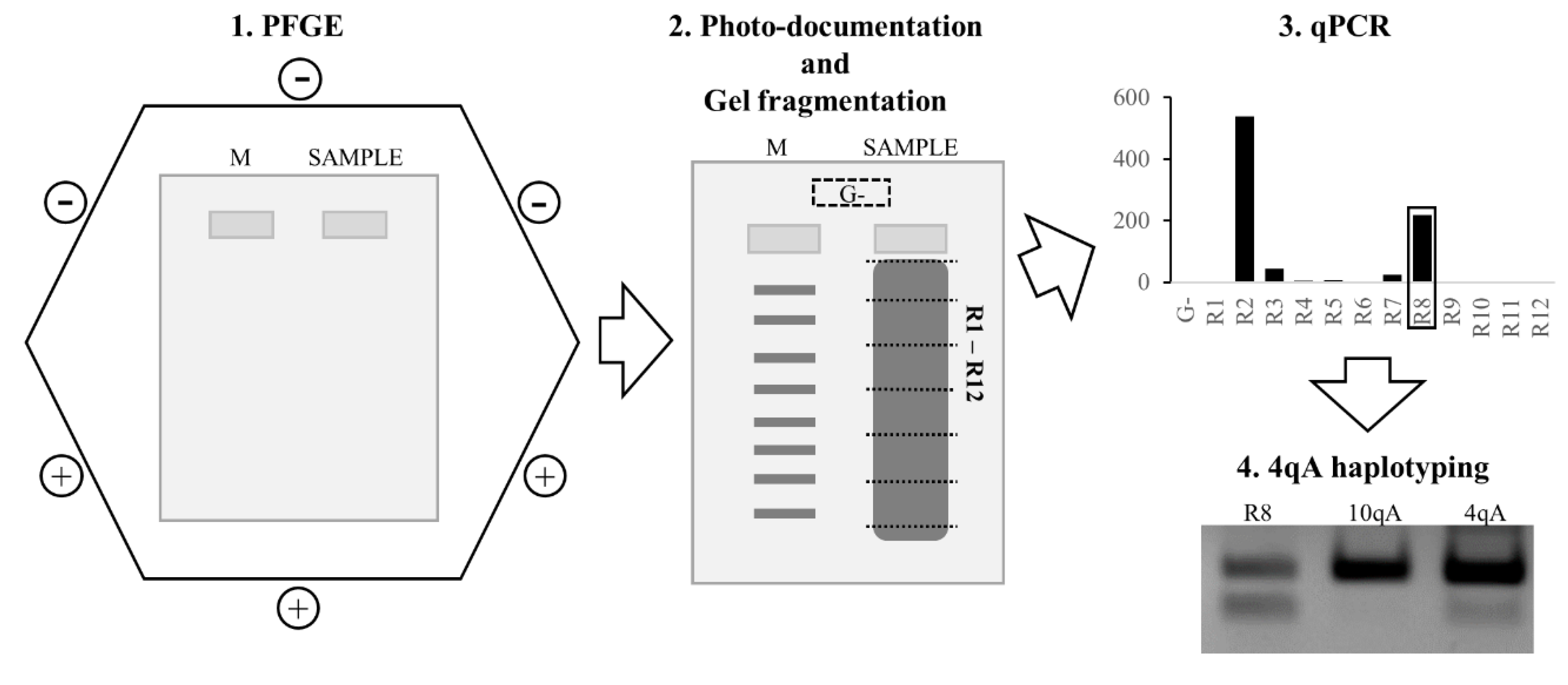 Diagnostics 11 00982 g002 Diagnostics 11 00982 g002