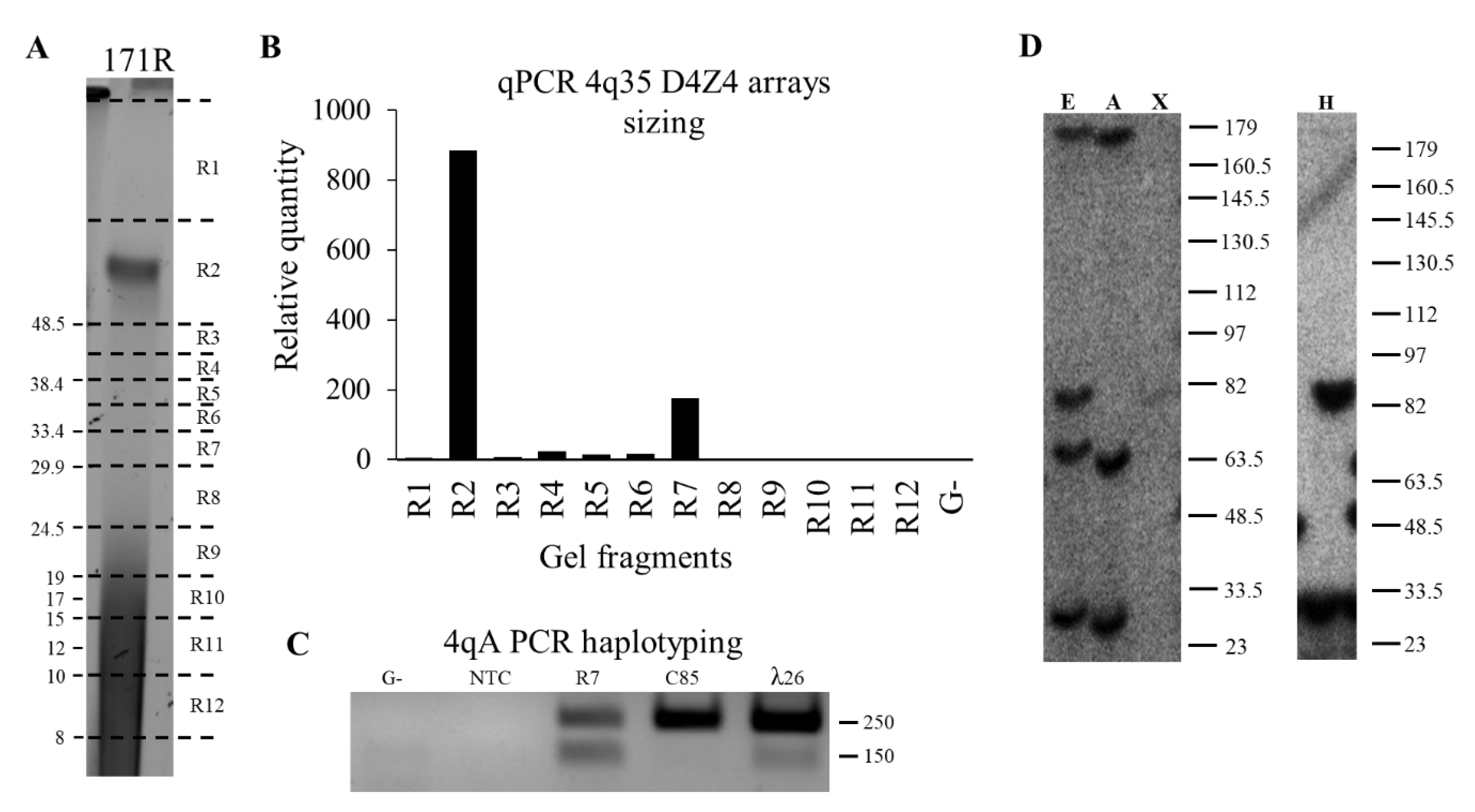 Diagnostics 11 00982 g003 Diagnostics 11 00982 g003