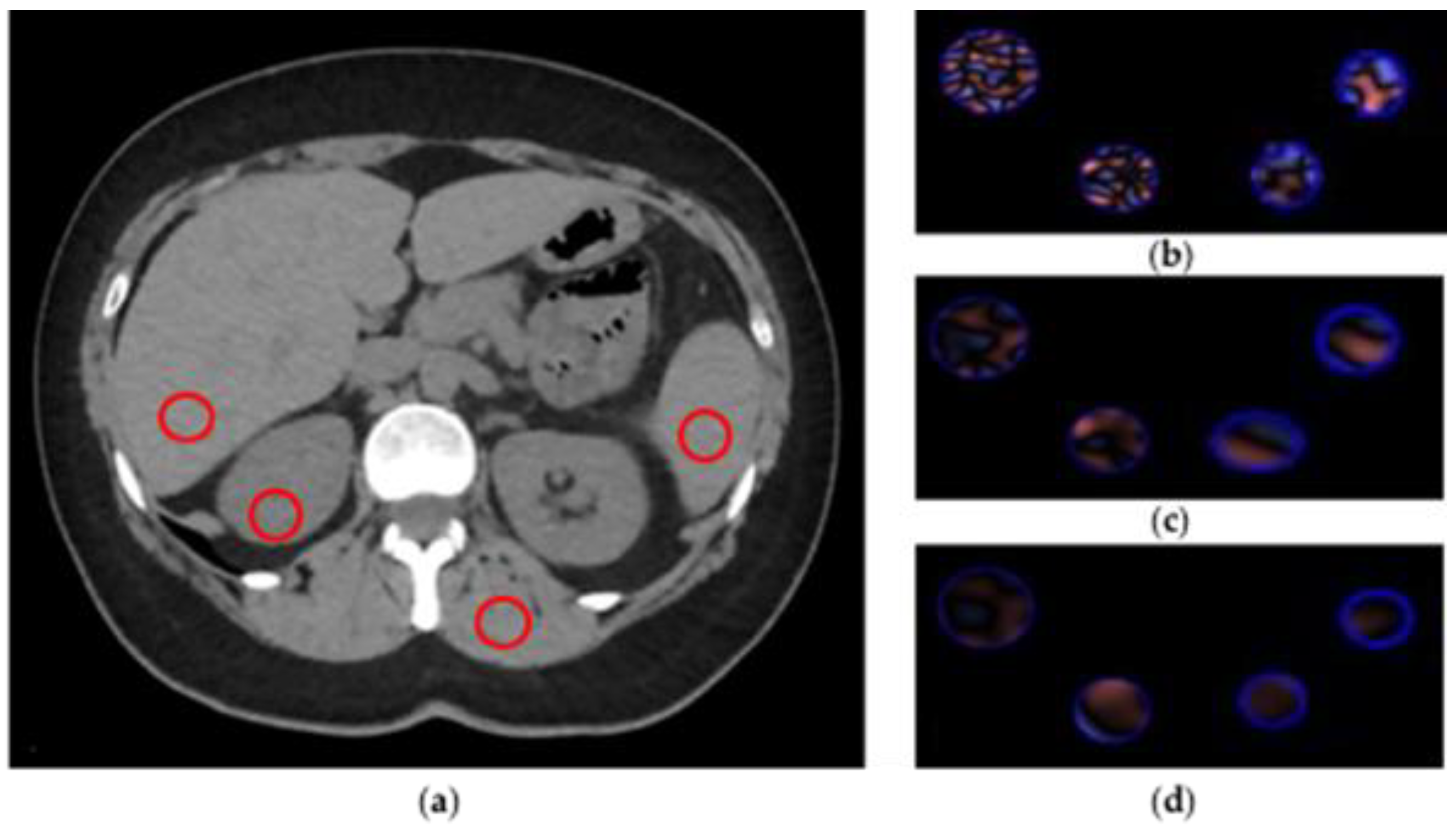 Diagnostics 11 01000 g003