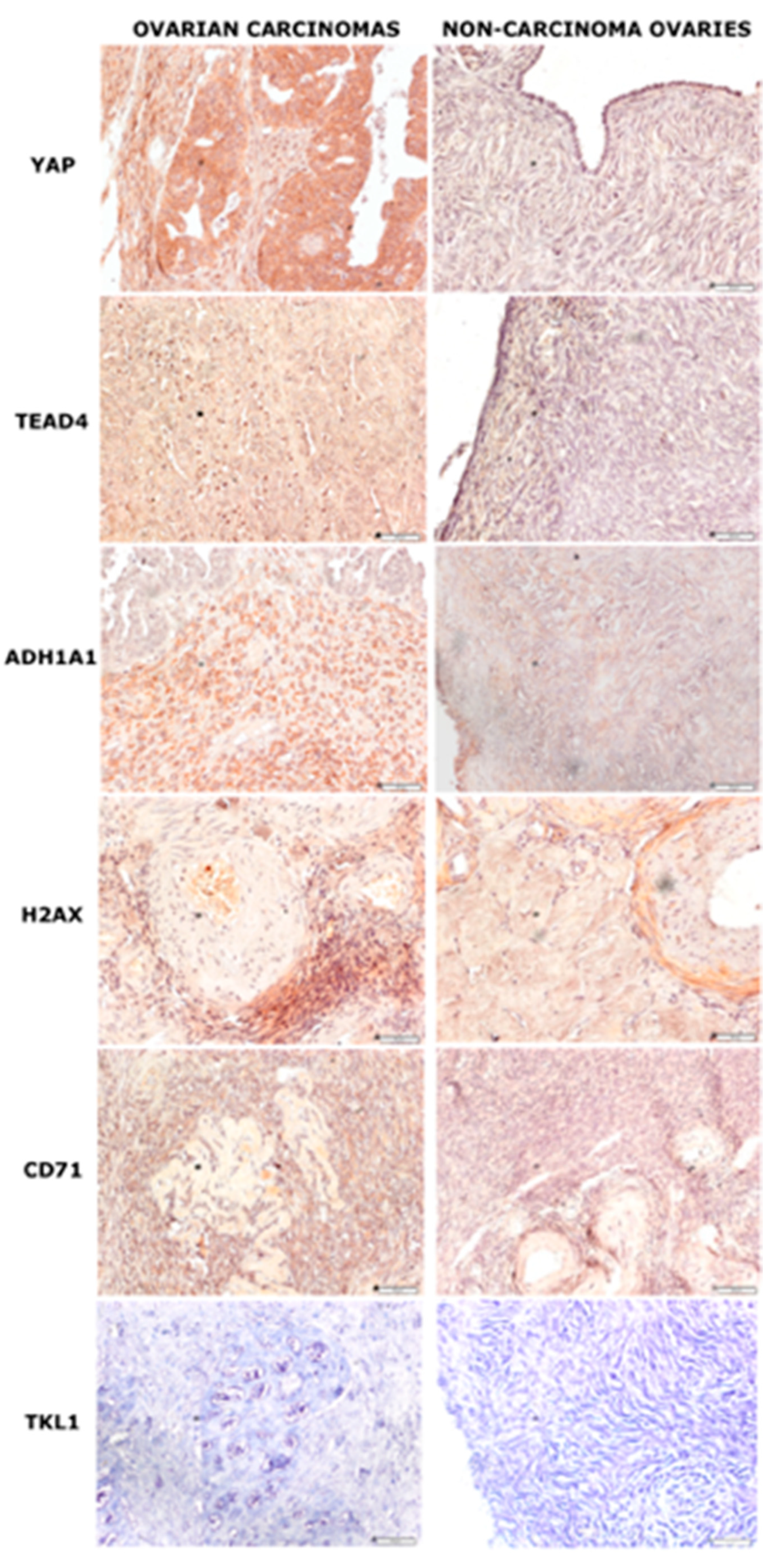Diagnostics 11 01026 g002