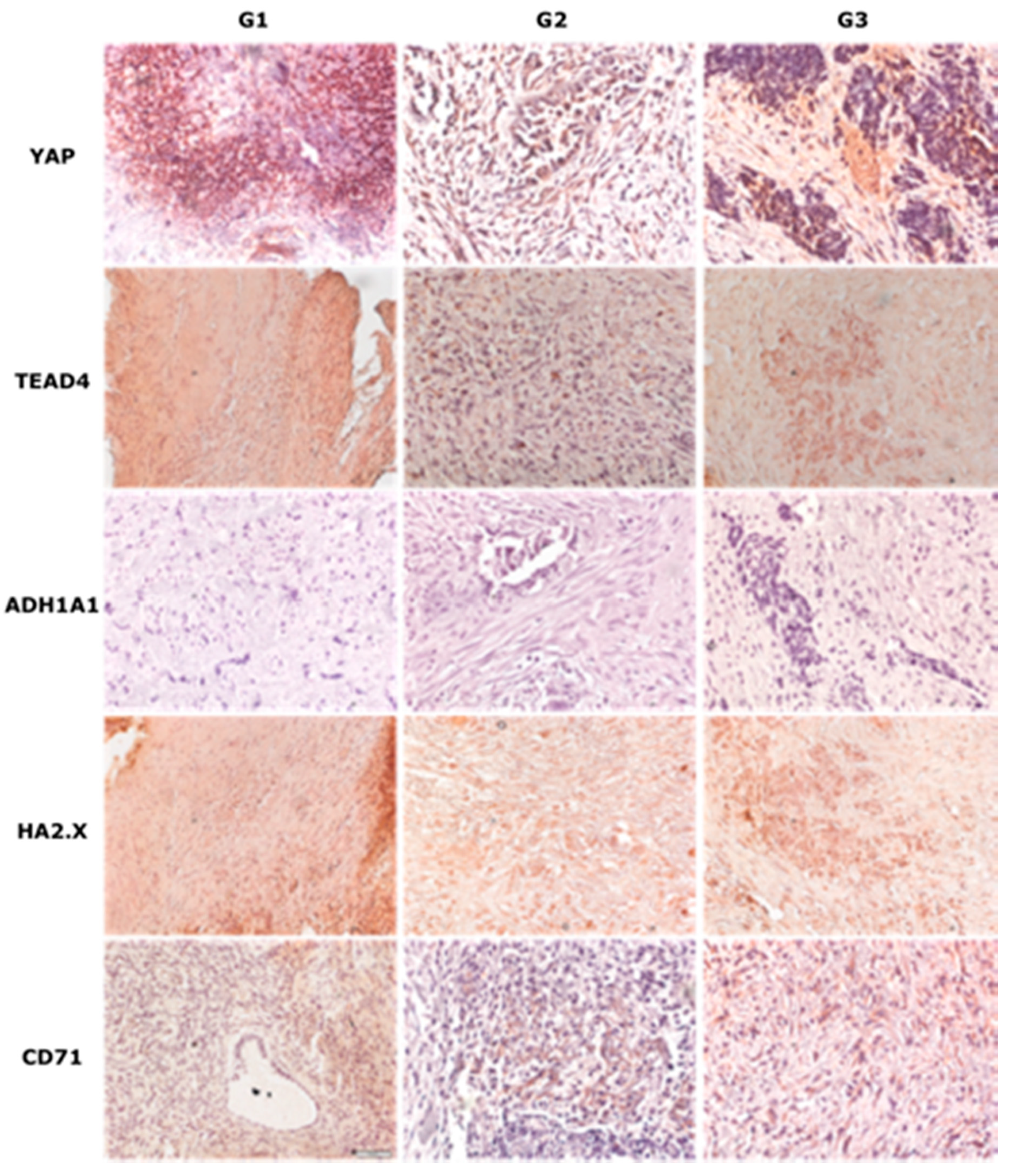 Diagnostics 11 01026 g003