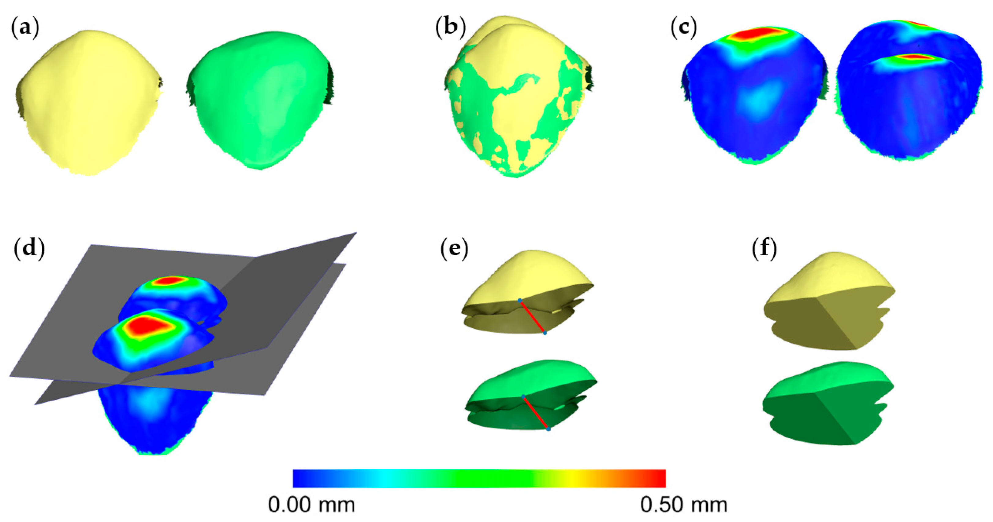 Diagnostics 11 01033 g003