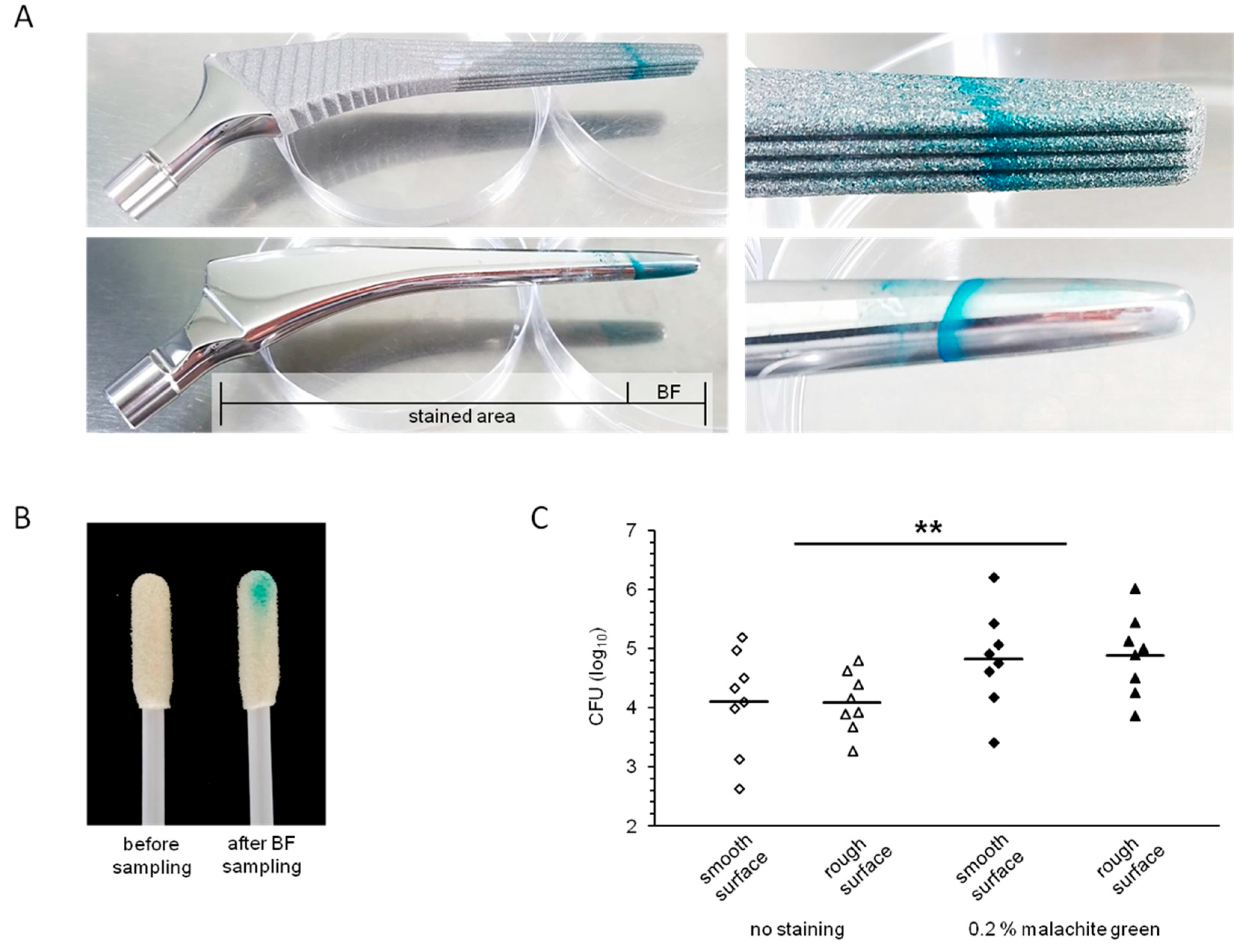 Diagnostics 11 01038 g003