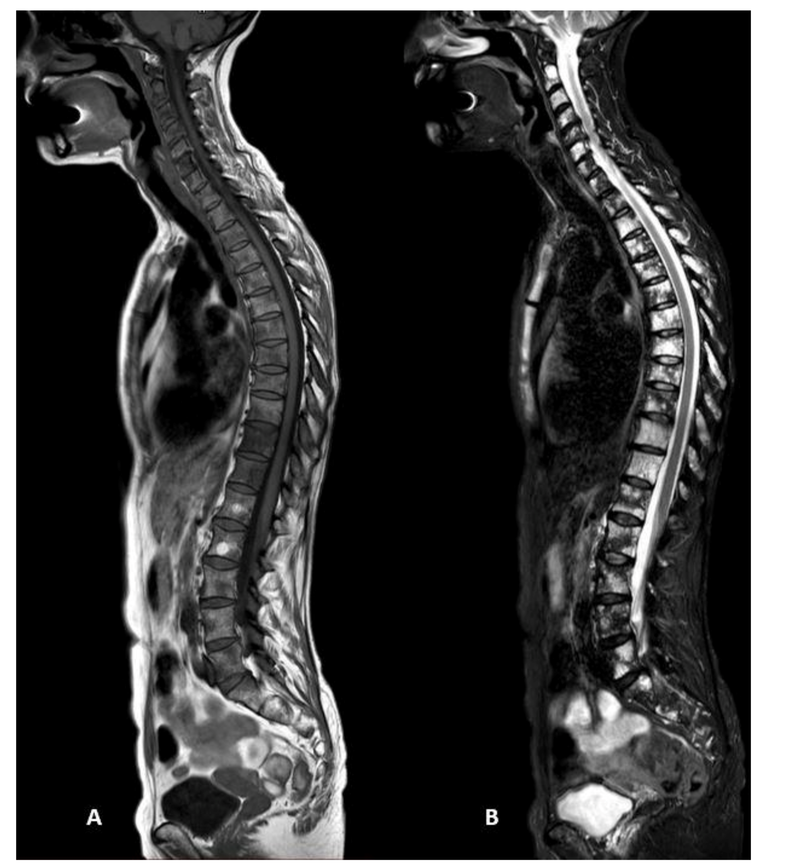 Diagnostics 11 01053 g002