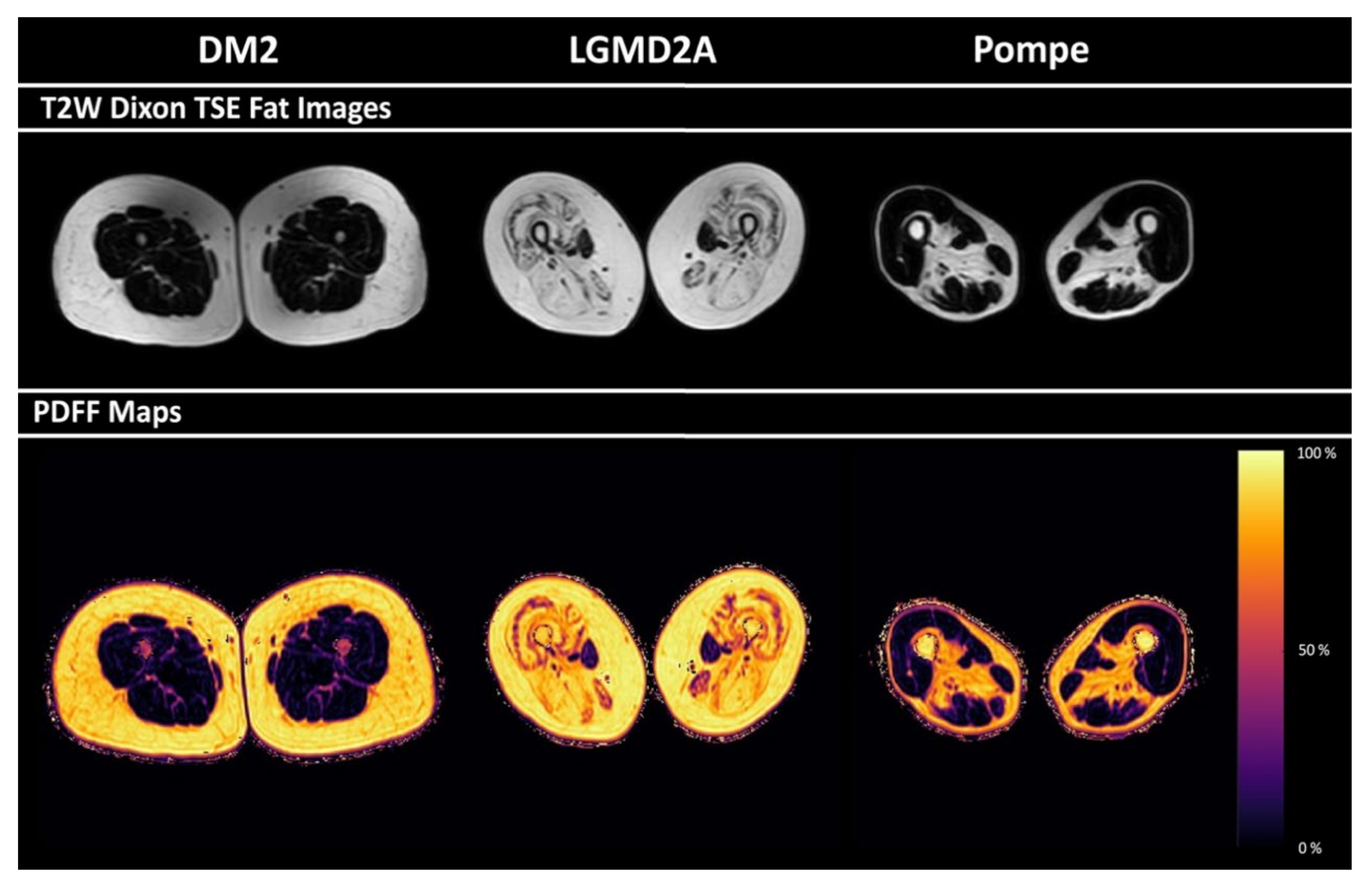 Diagnostics 11 01056 g002