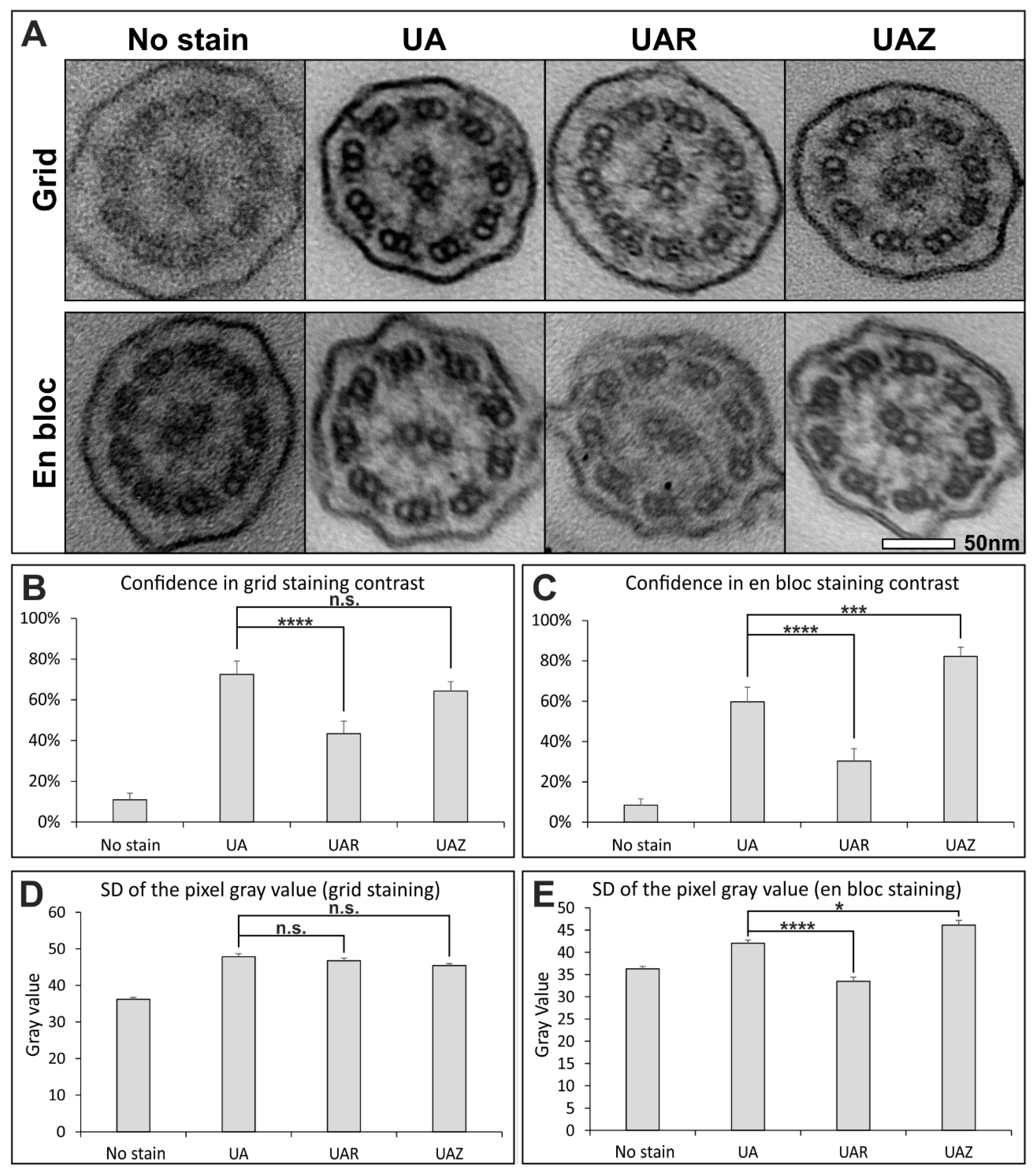 Diagnostics 11 01063 g001