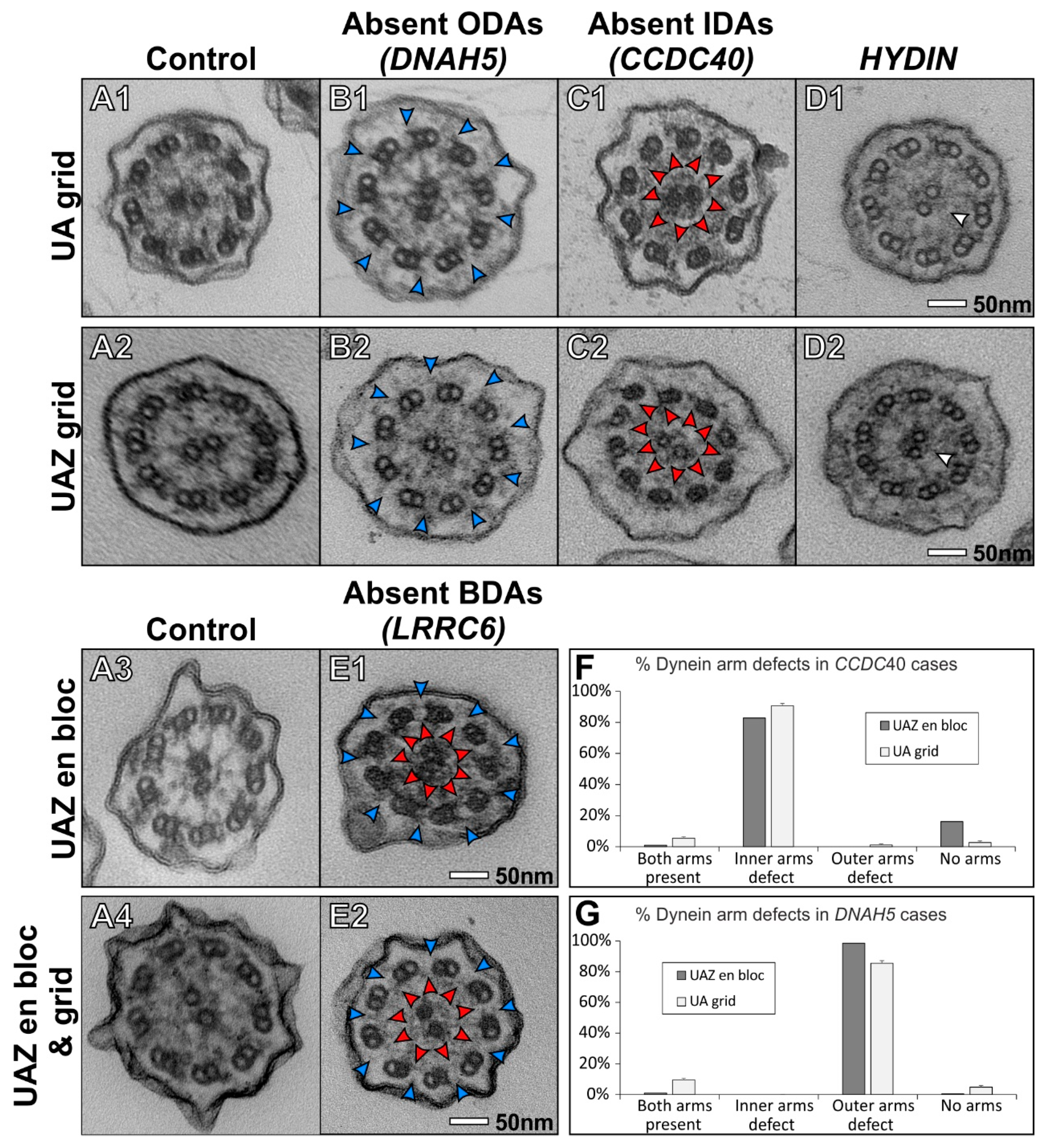Diagnostics 11 01063 g002