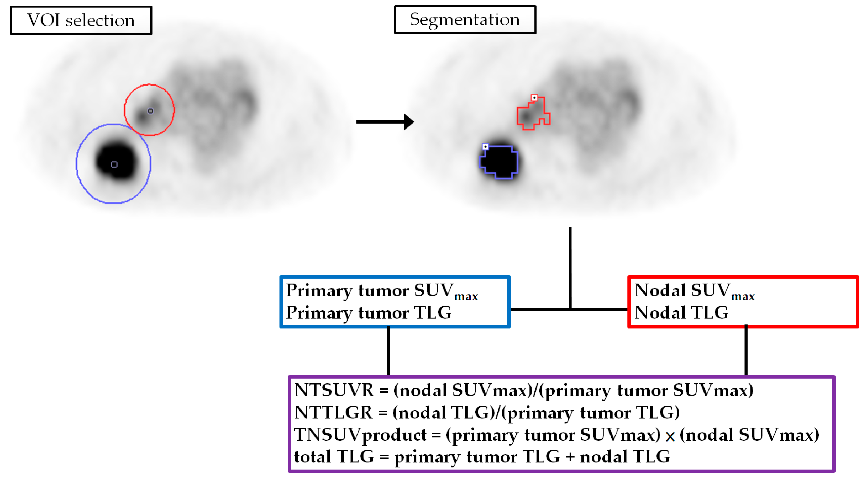 Diagnostics 11 01065 g001 Diagnostics 11 01065 g001