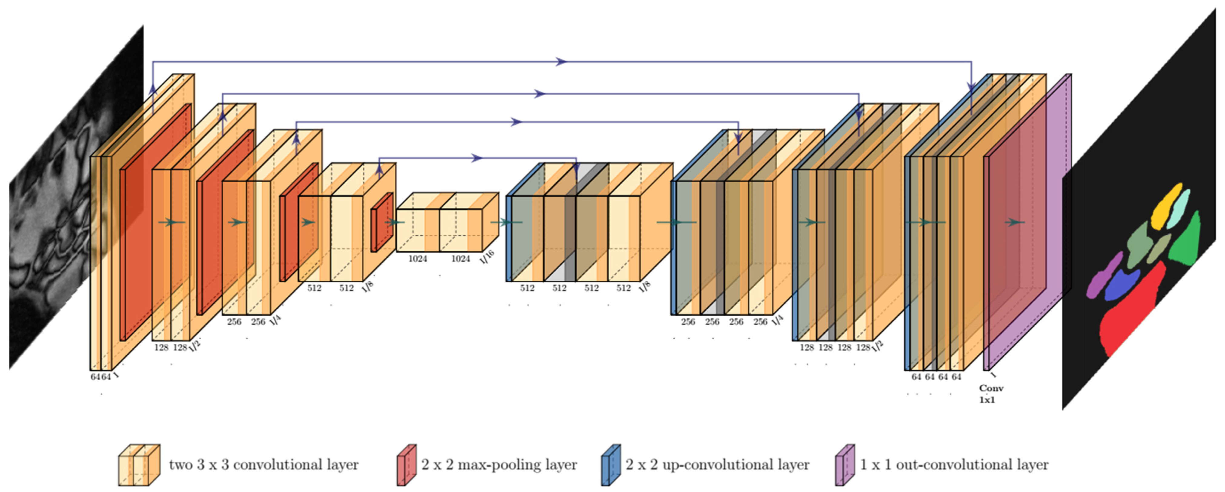 Diagnostics 11 01077 g003