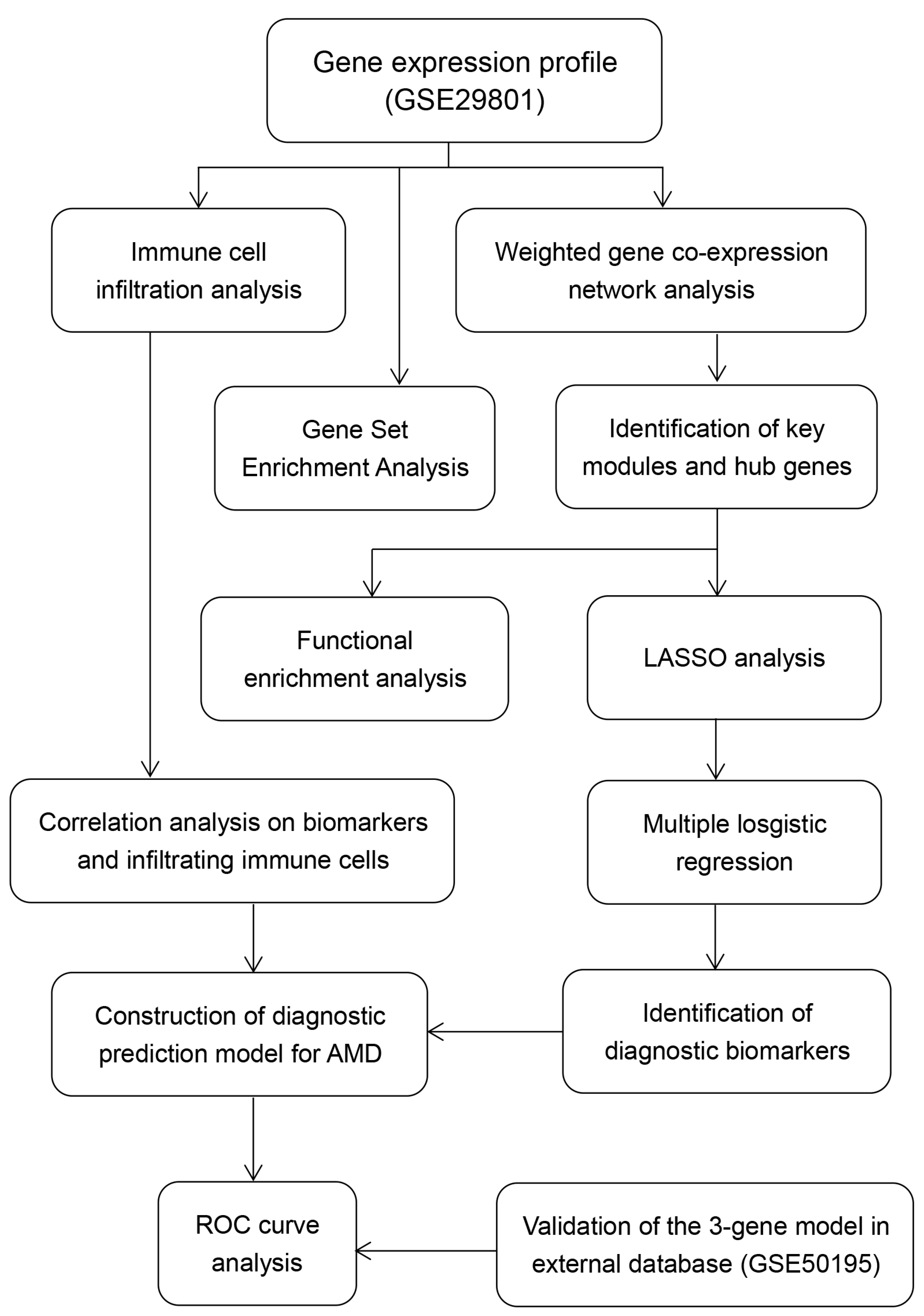 Diagnostics 11 01079 g001 Diagnostics 11 01079 g001